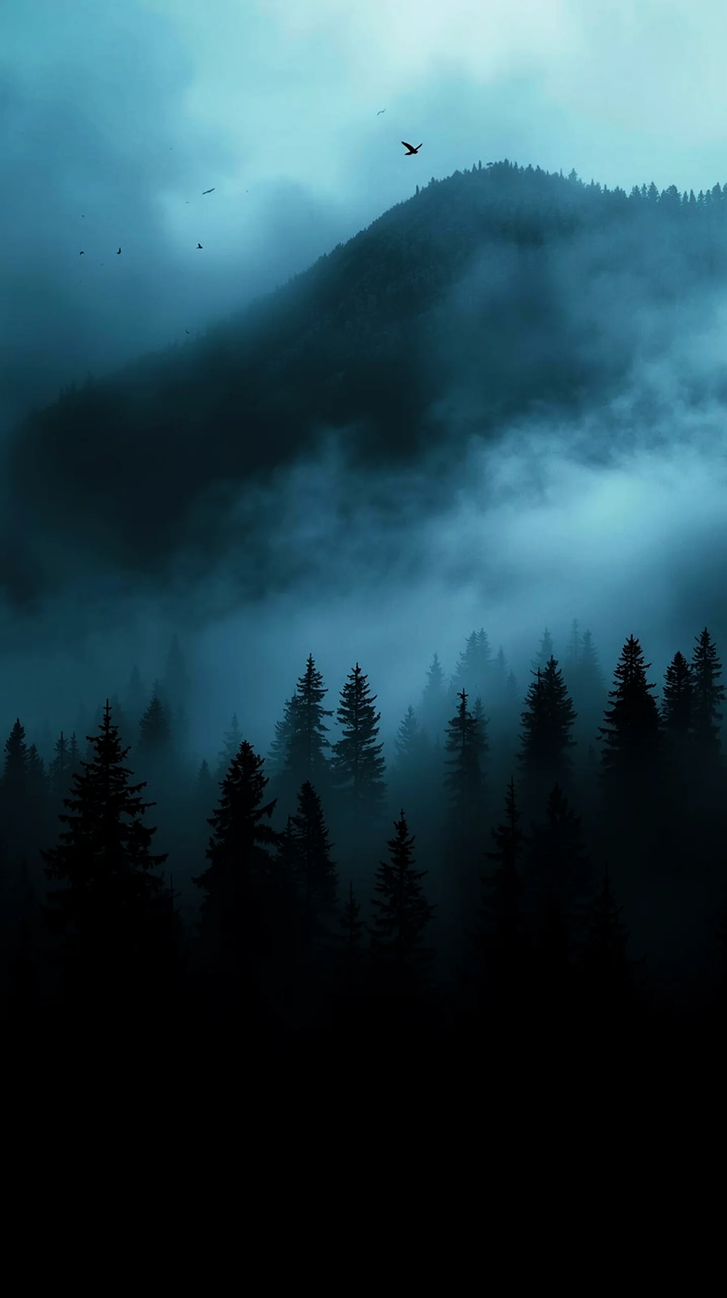 Misty forest with birds flying, AMOLED wallpaper 4K for mobile, iPhone wallpaper 4K, 4K wallpaper for mobile, wallpaper