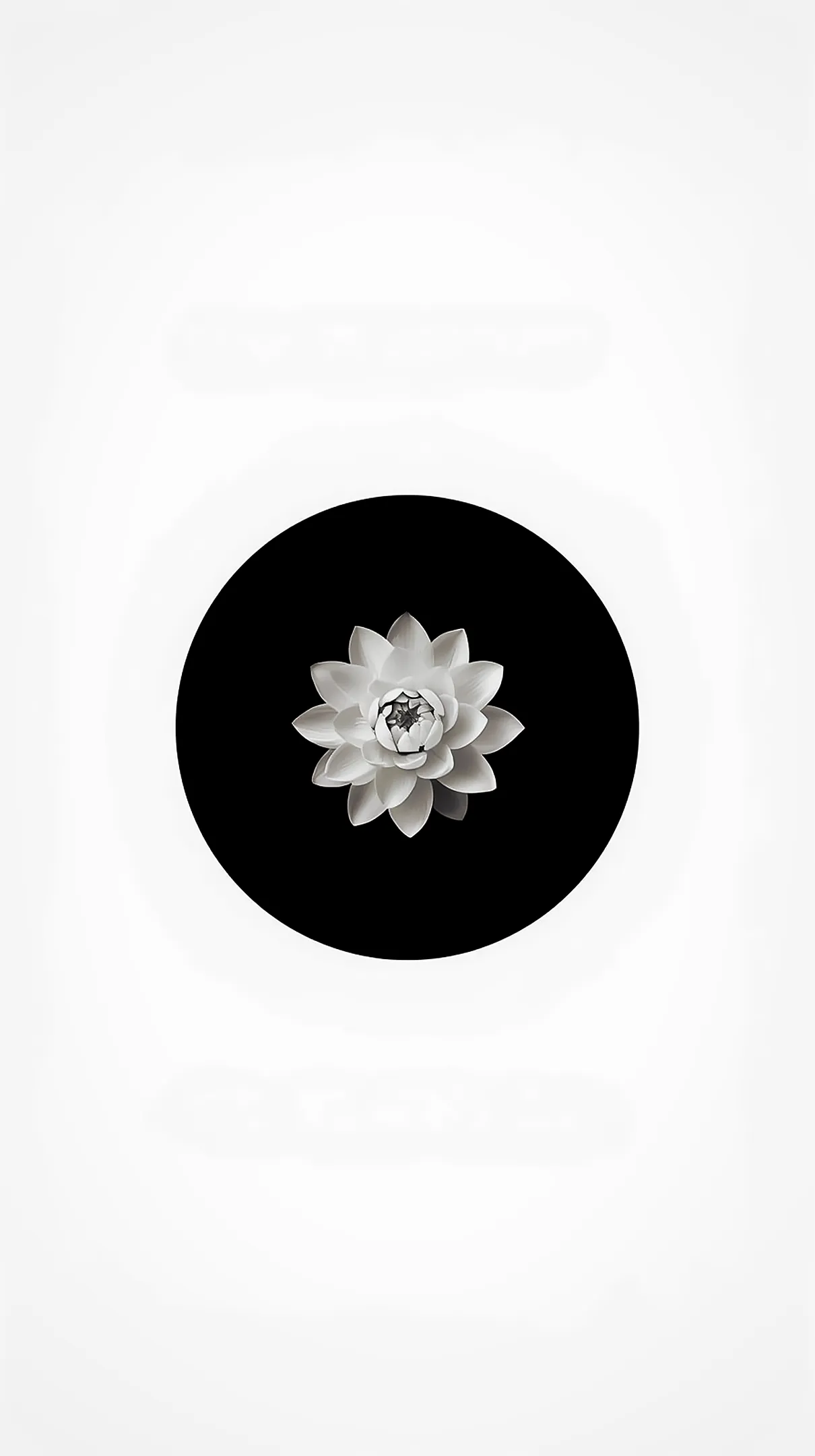 Minimalist lotus flower background for iphone, flower phone background, and flower phone wallpaper.