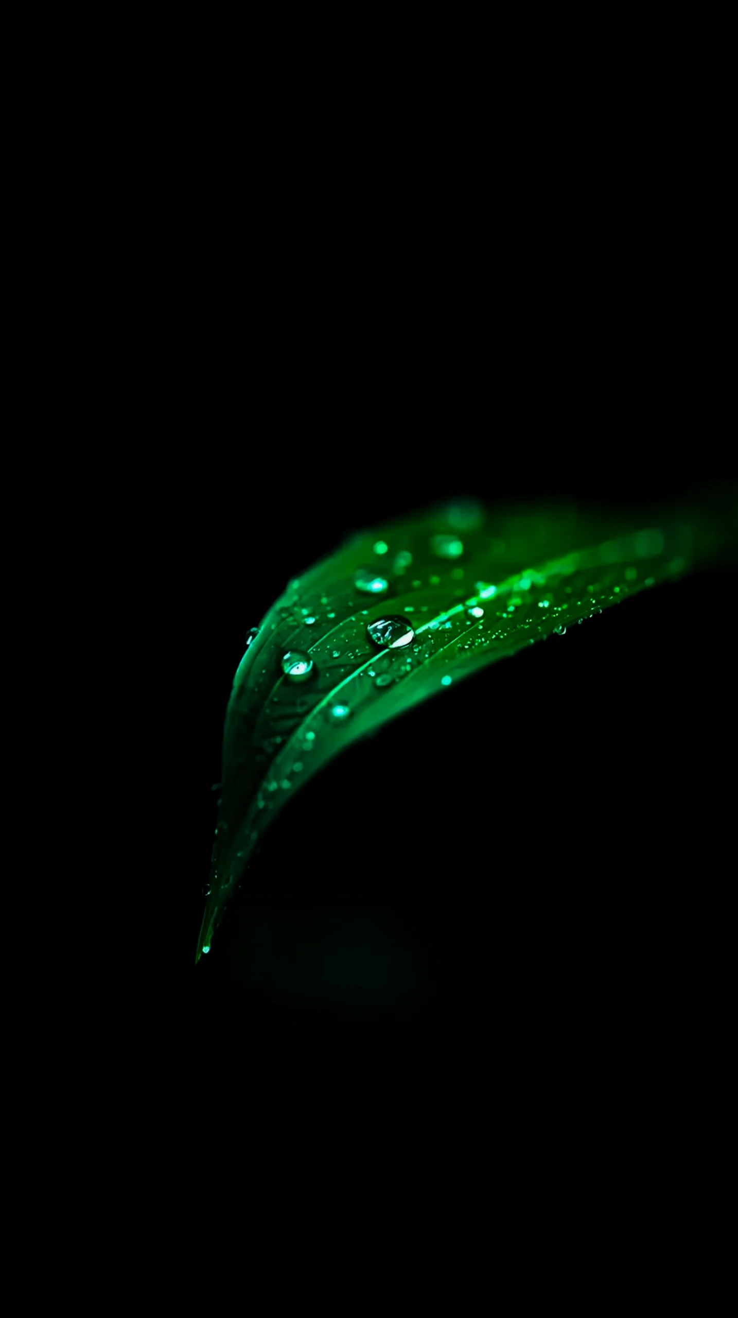 amoled wallpaper 4k for mobile iphone wallpaper 4k 4k wallpaper for mobile wallpaper for phone iphone background