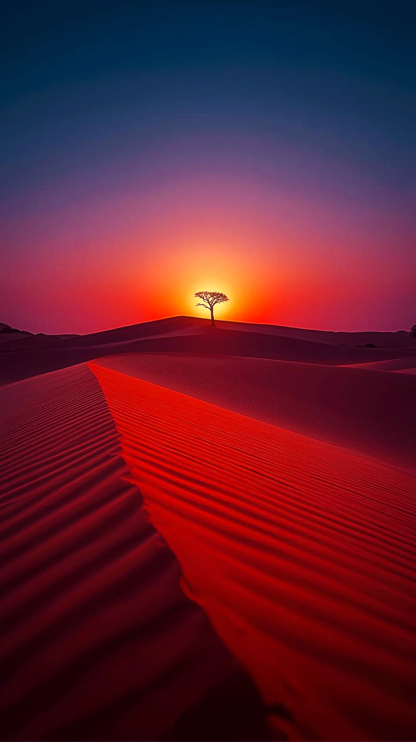 Stunning desert sunset iphone wallpaper 4k, 4k wallpaper for mobile, wallpaper for phone, cute 4k wallpaper for iphone.