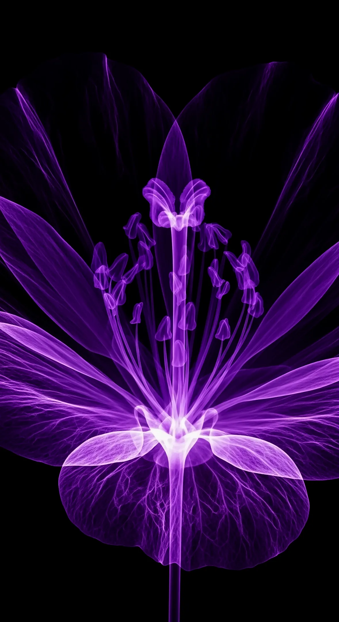 Vibrant Purple Neon Flower Background for iPhone - Glowing Aesthetic Flower Phone Background and Flower Phone Wallpaper for Lock Screen