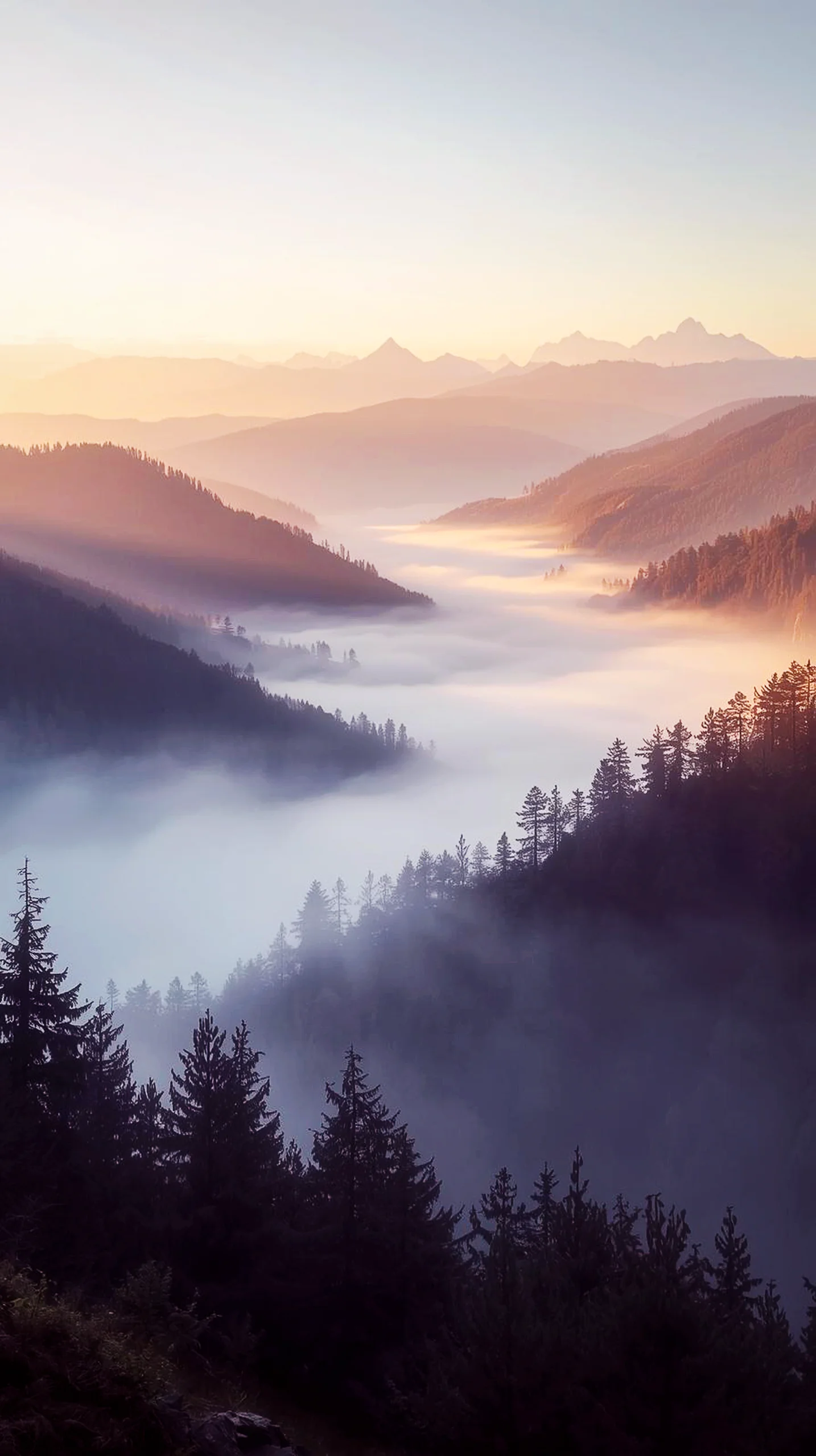 Misty mountain valley sunrise 4k wallpaper for mobile, cute 4k wallpaper for iPhone, 4k backgrounds iPhone, 4k iPhone