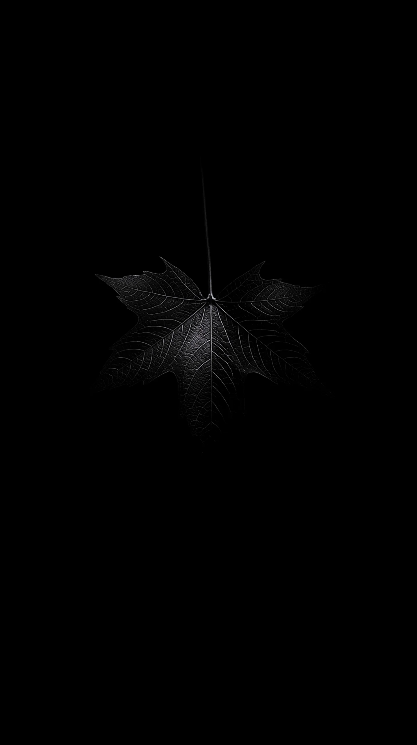 Dark leaf AMOLED wallpaper 4K for mobile, iPhone wallpaper 4K, 4K wallpaper for mobile, wallpaper for phone, cute 4K
