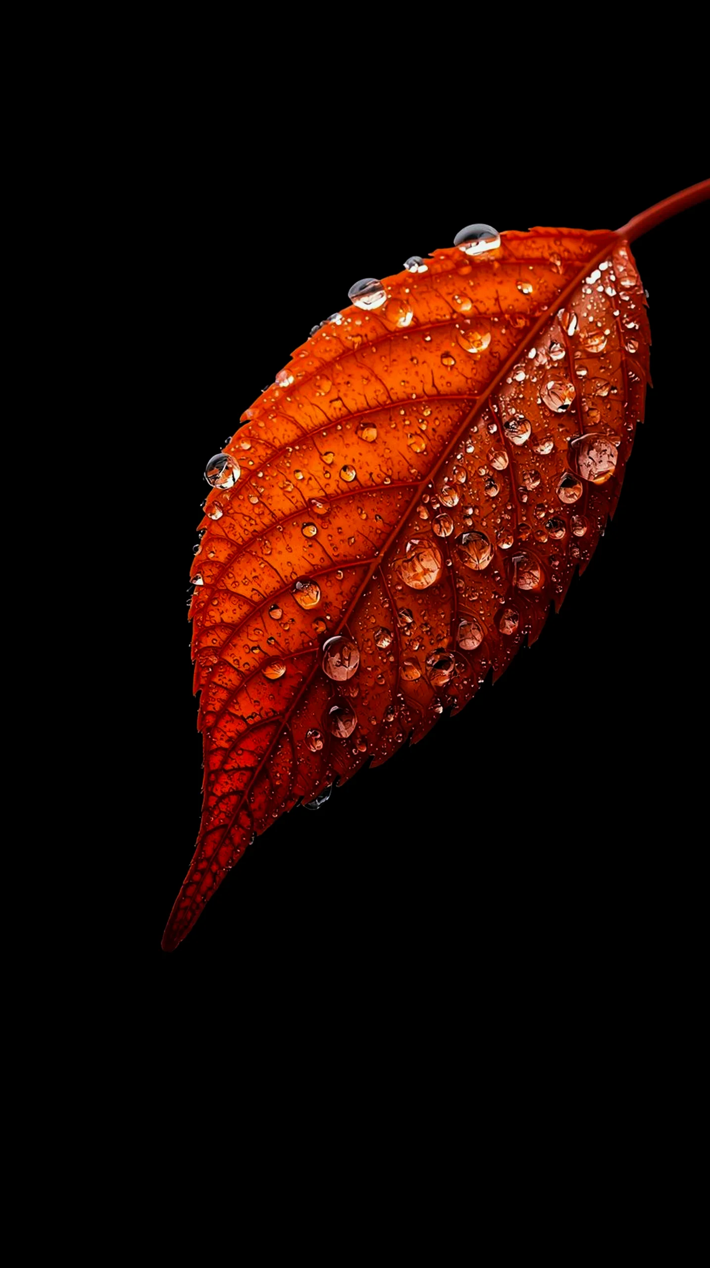 AMOLED wallpaper 4k for mobile, iphone wallpaper 4k, 4k wallpaper for mobile, wallpaper for phone, cute 4k backgrounds