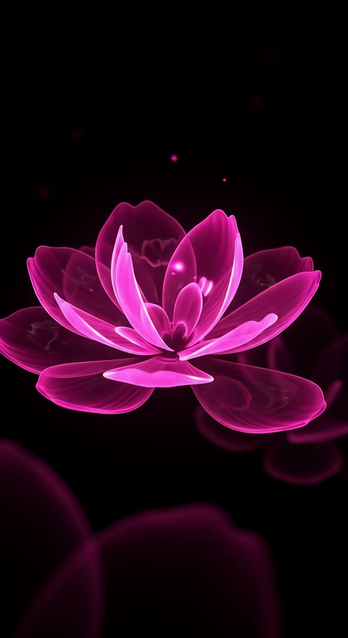 Pink flower background for iPhone, flower phone background, flower phone wallpaper