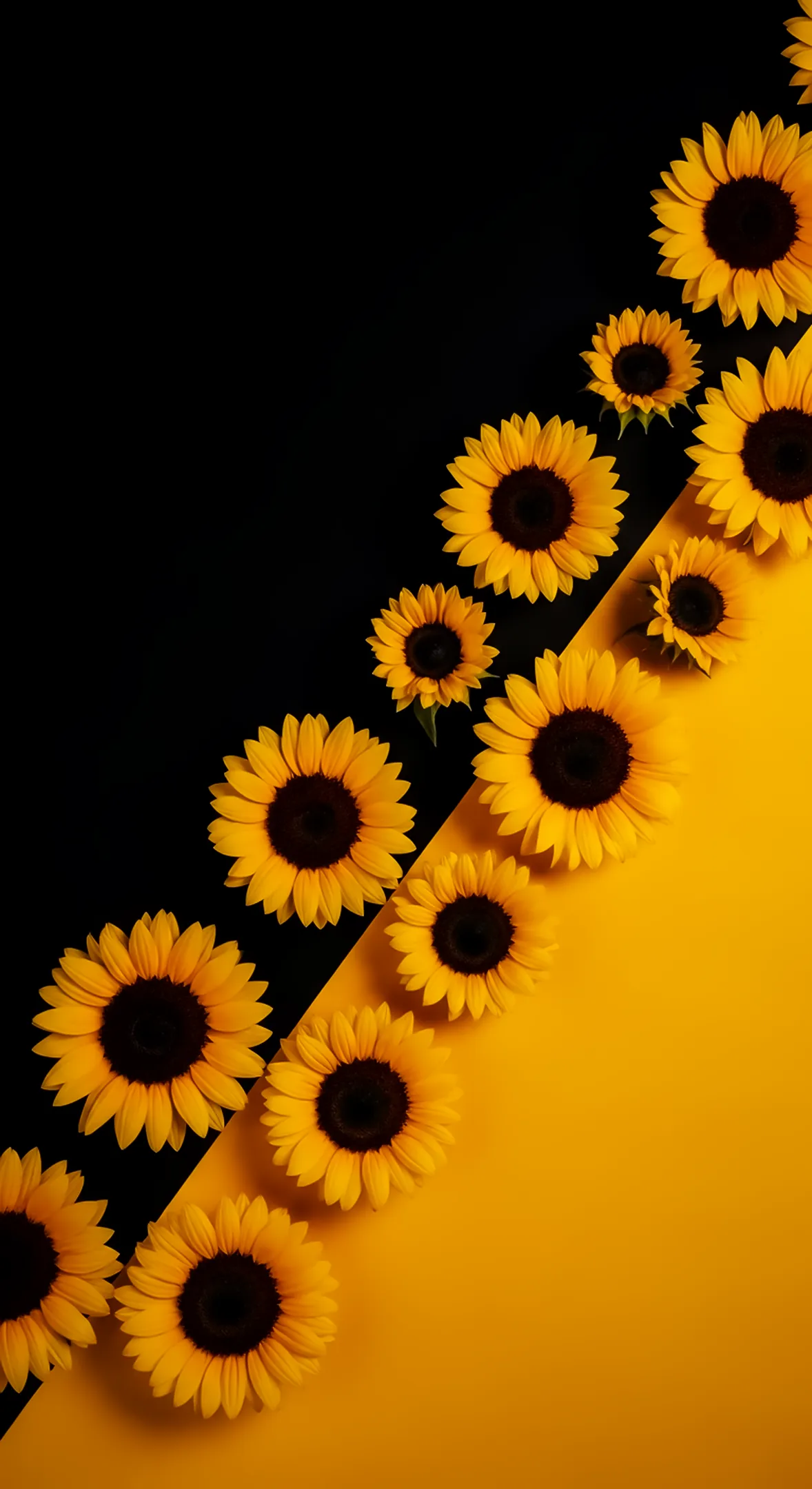Sunflower phone background for iPhone - a beautiful flower phone wallpaper.