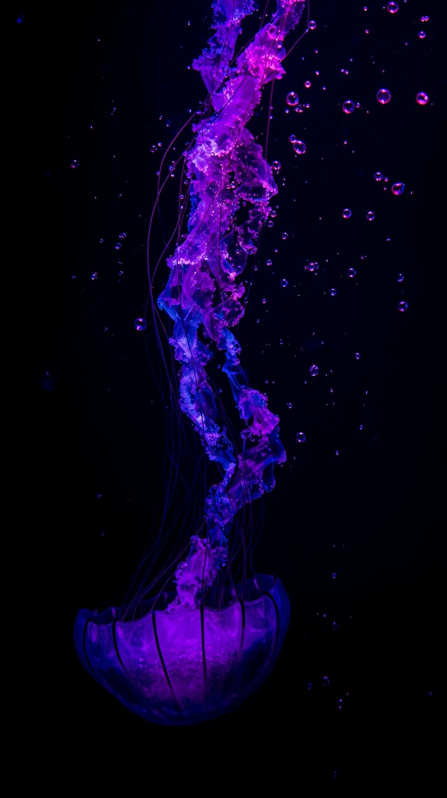 4k iphone background Deep Purple Cosmic Nebula with Shimmering Stars and Dark Interstellar Space Clouds