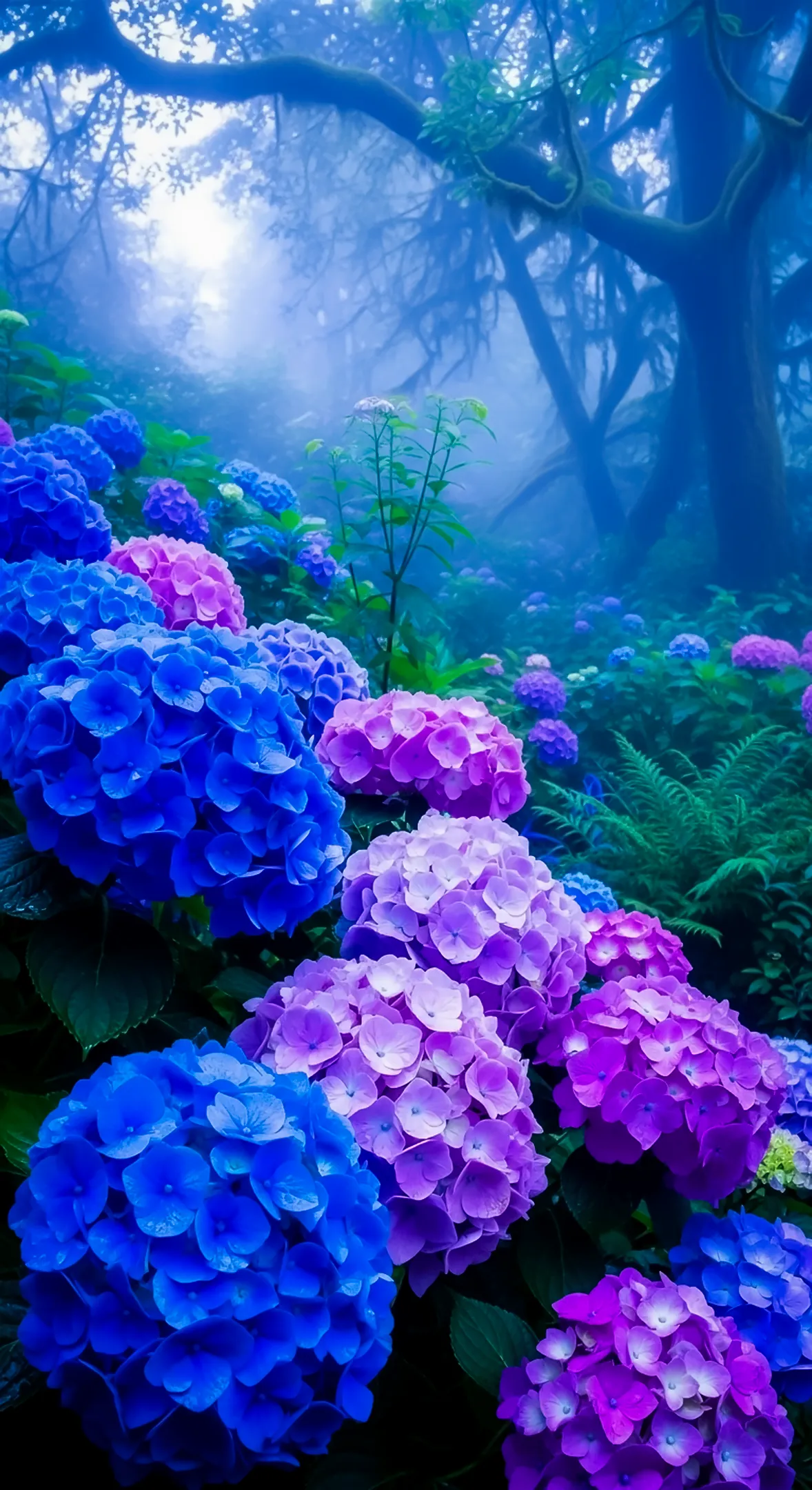 Vibrant blue and purple hydrangeas bloom in a misty forest, ideal as a flower background for iPhone, flower phone