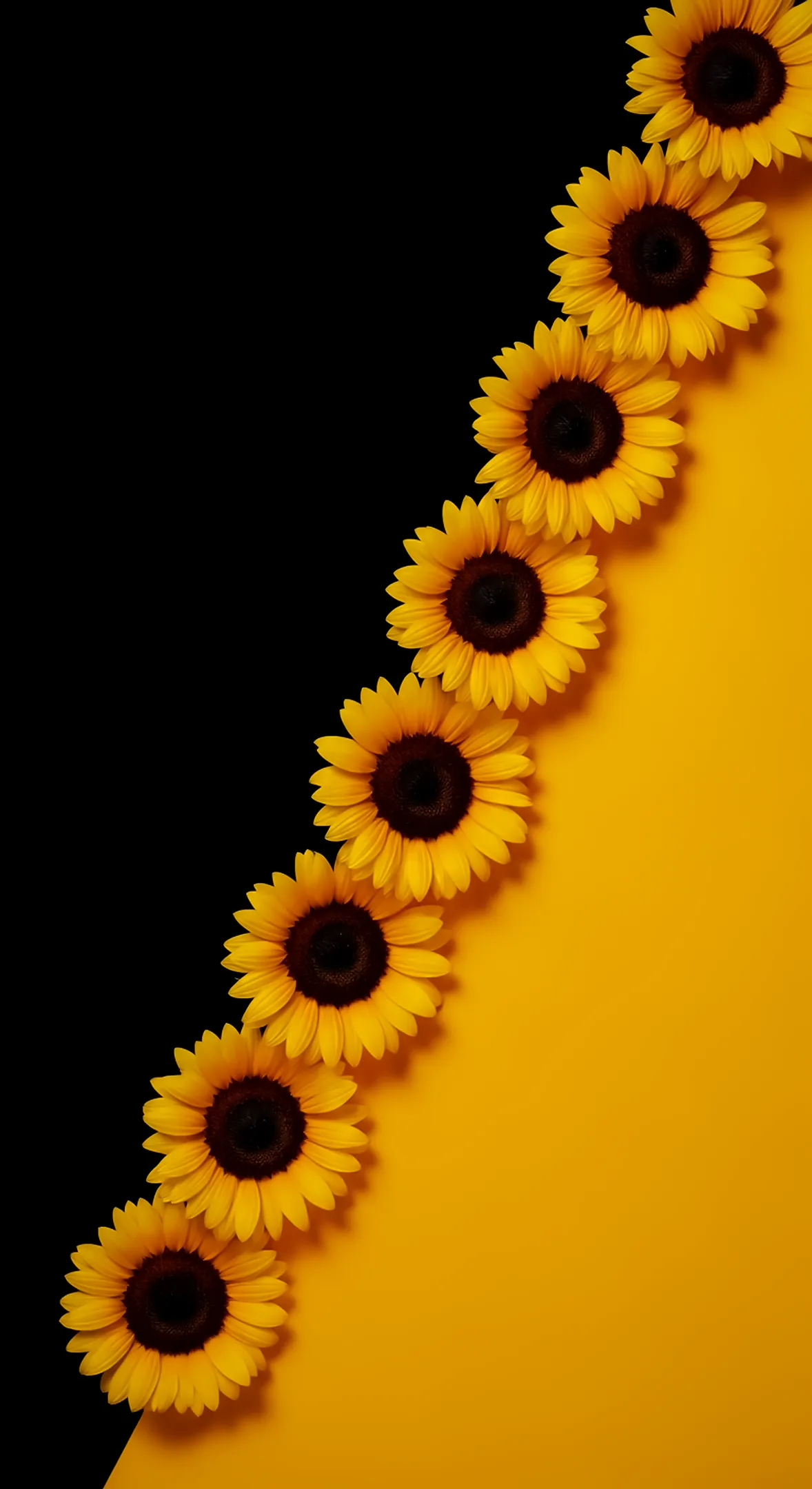 Sunflower phone background for iPhone, flower phone wallpaper, flower background for iPhone