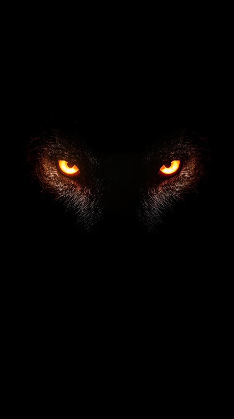iphone wallpaper 4k Intense Glowing Orange Wolf Eyes Emerging from Deep Black iphone wallpaper 4k mobile wolf eyes glowi