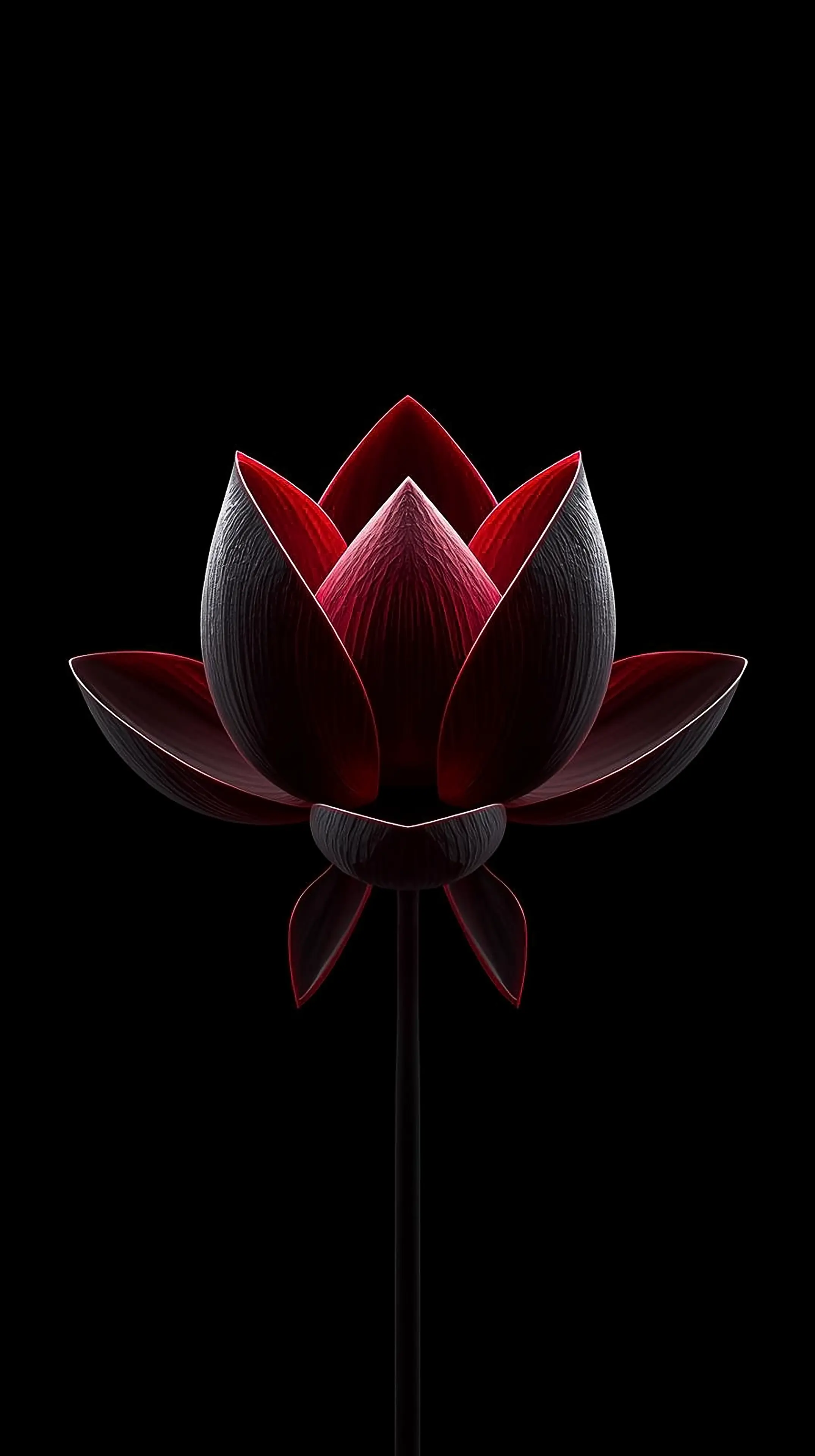 4k wallpaper for mobile Dark Red Lotus Flower 3D Render on Black Background, Elegant Dramatic Bloom in Deep Crimson and