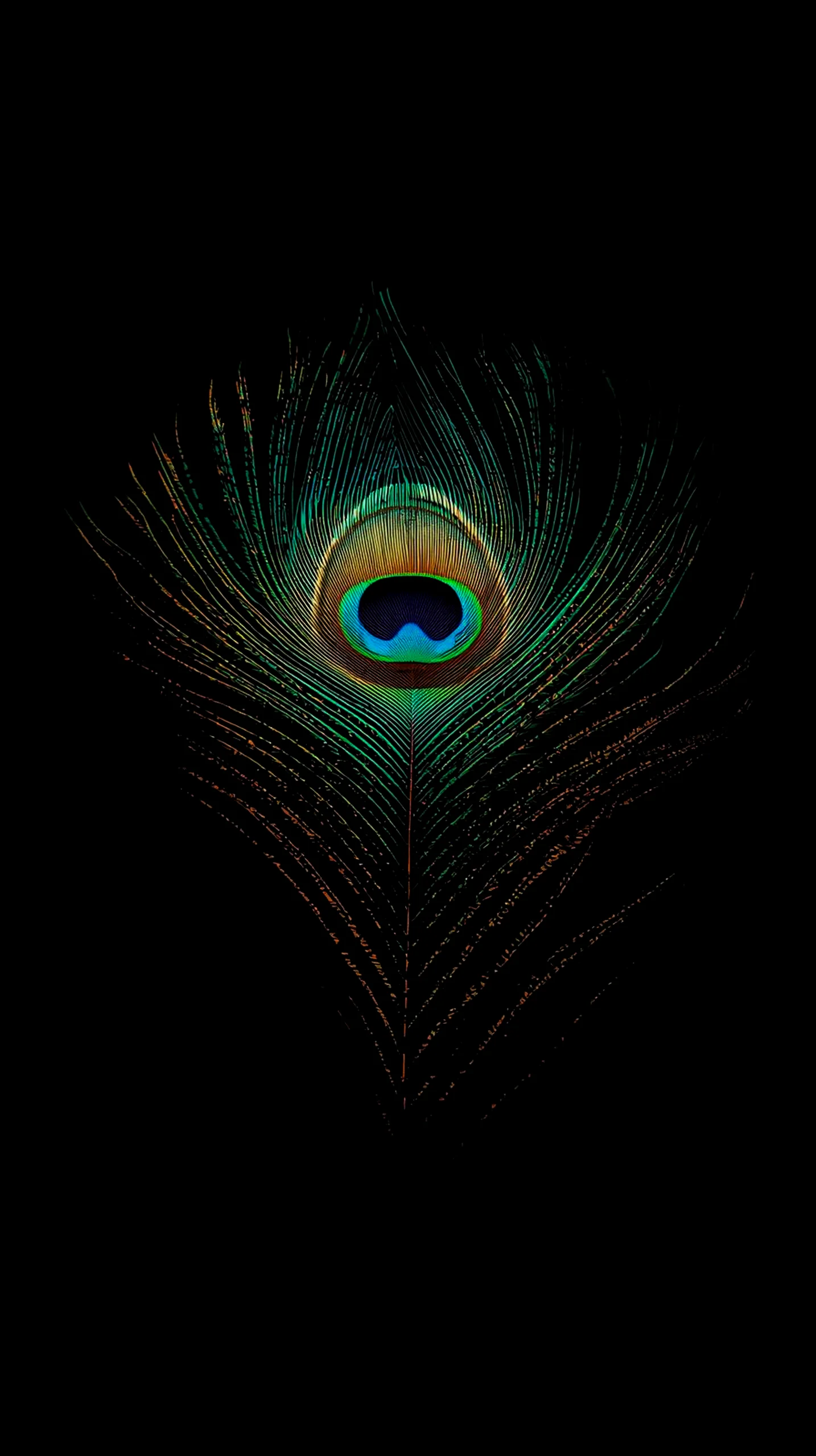 Peacock feather amoled wallpaper 4k for mobile, iphone wallpaper 4k, 4k wallpaper for phone, cute 4k backgrounds.