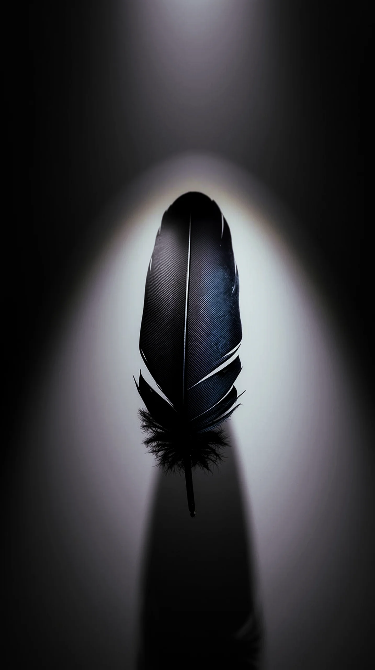 Black feather AMOLED wallpaper 4K for mobile, iPhone wallpaper 4K, 4K wallpaper for mobile, wallpaper for phone, cute