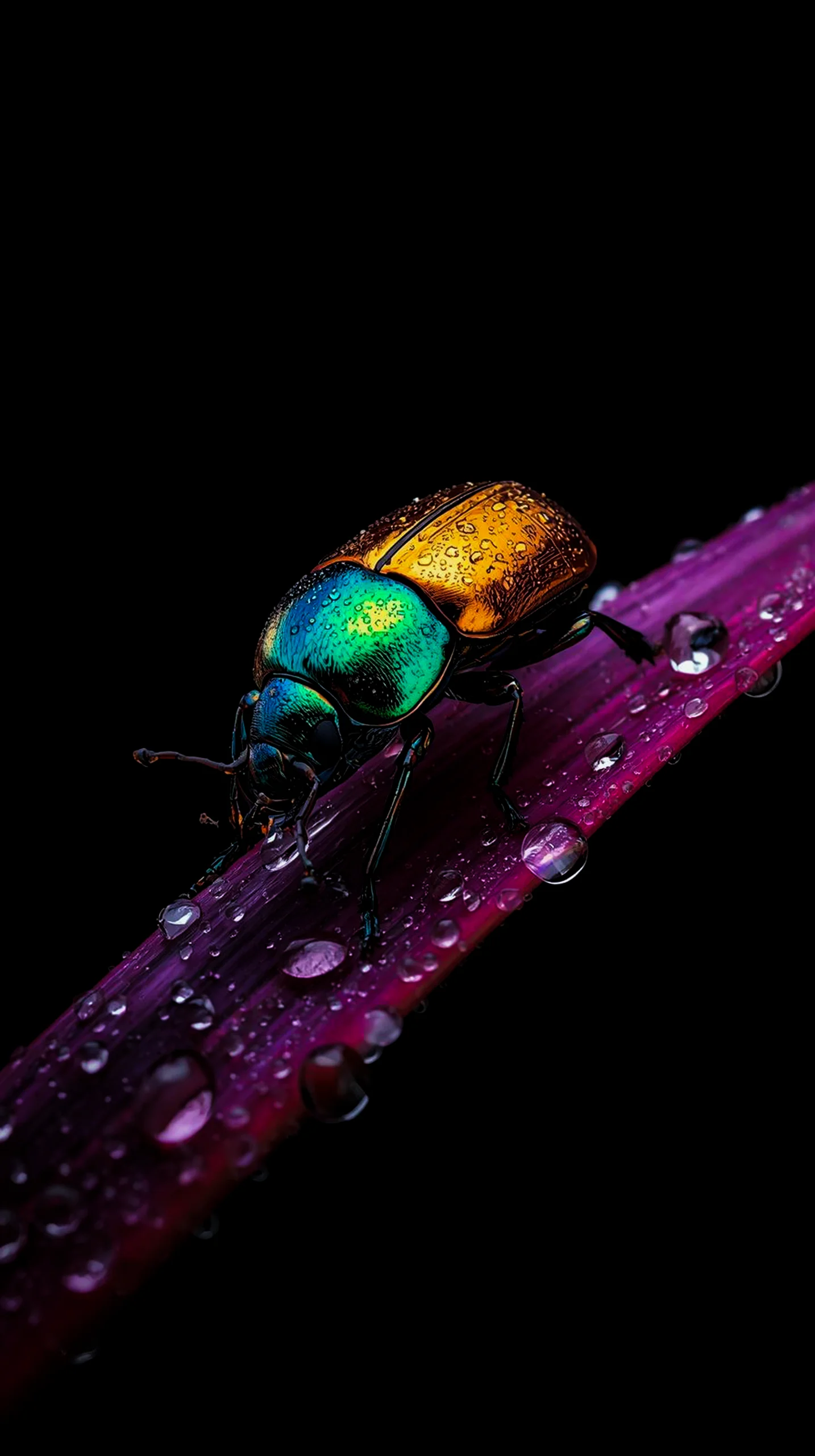 AMOLED wallpaper 4k for mobile iphone wallpaper 4k 4k wallpaper for mobile wallpaper for phone cute 4k wallpaper for