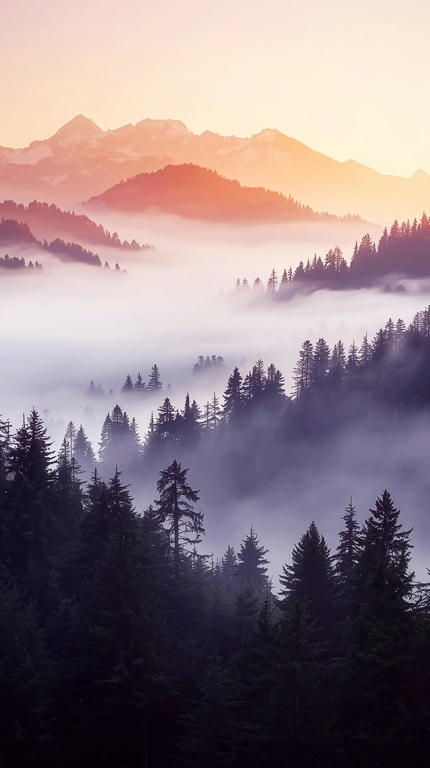 Misty mountain sunrise 4K wallpaper for iPhone. Cute 4K wallpaper for mobile. 4K backgrounds for phone.