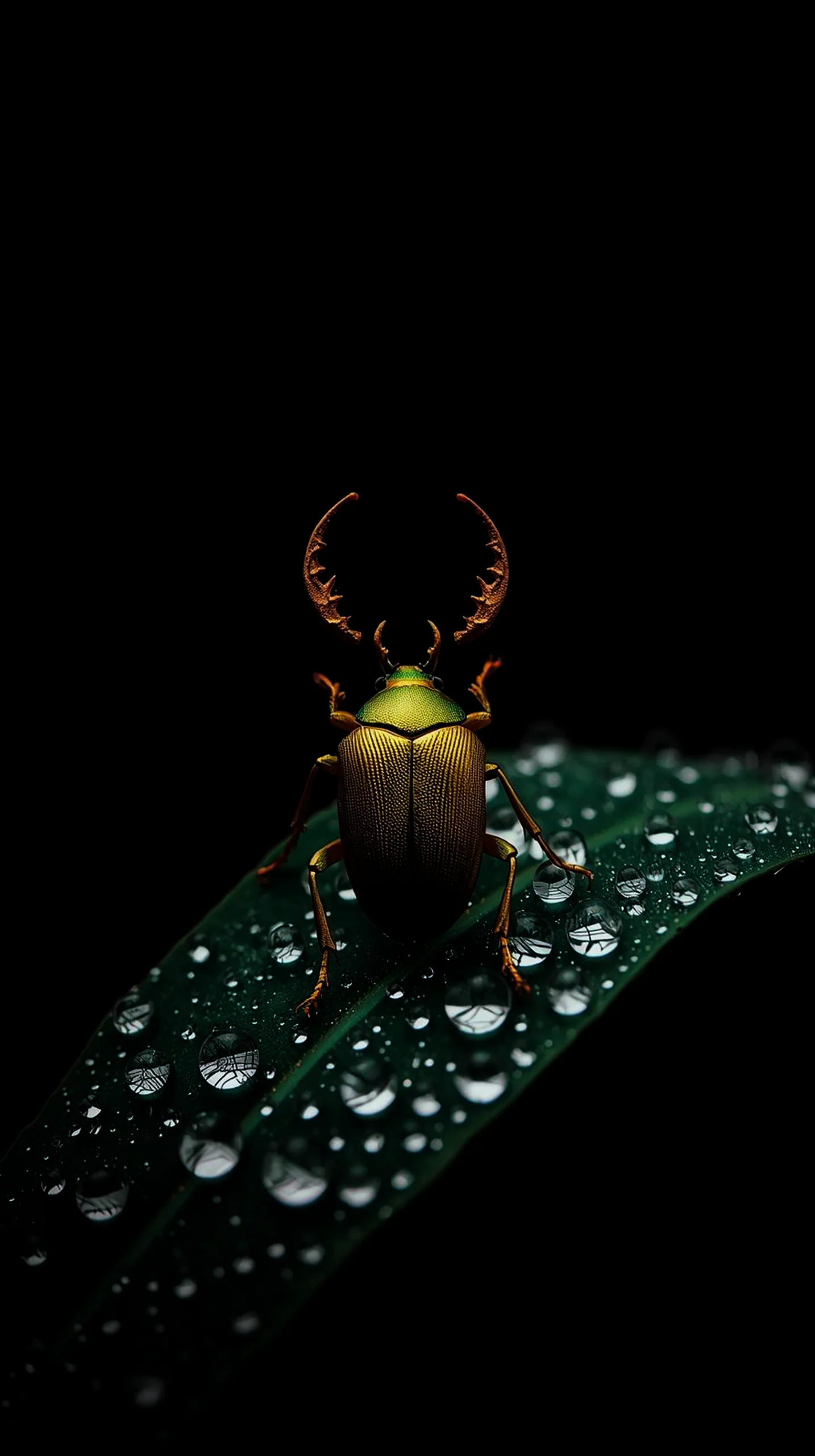 Amoled wallpaper 4k for mobile iphone wallpaper 4k 4k wallpaper for mobile wallpaper for phone cute 4k wallpaper
