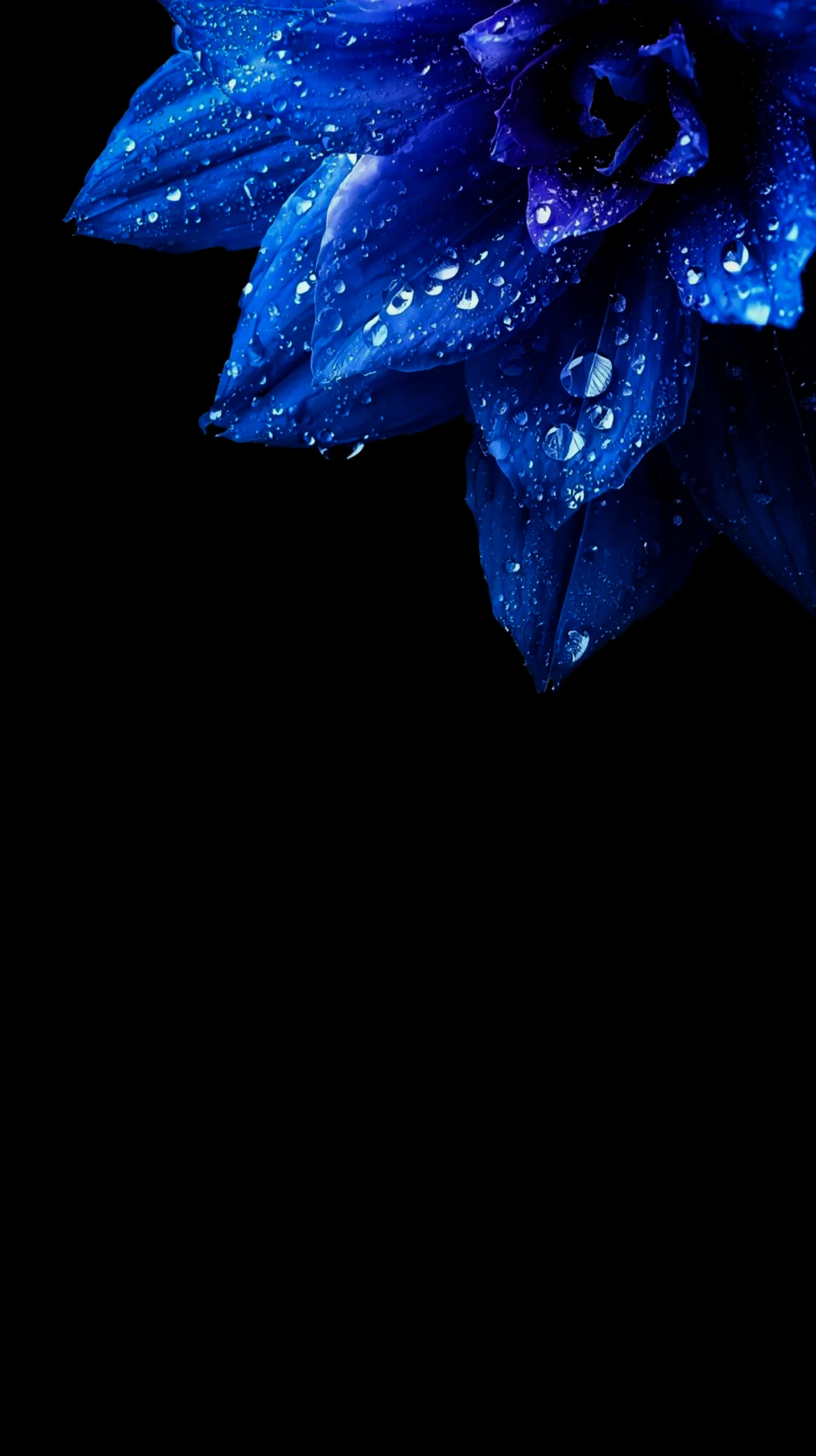 AMOLED wallpaper 4K for mobile, iPhone wallpaper 4K, 4K wallpaper for mobile, wallpaper for phone, cute 4K wallpaper