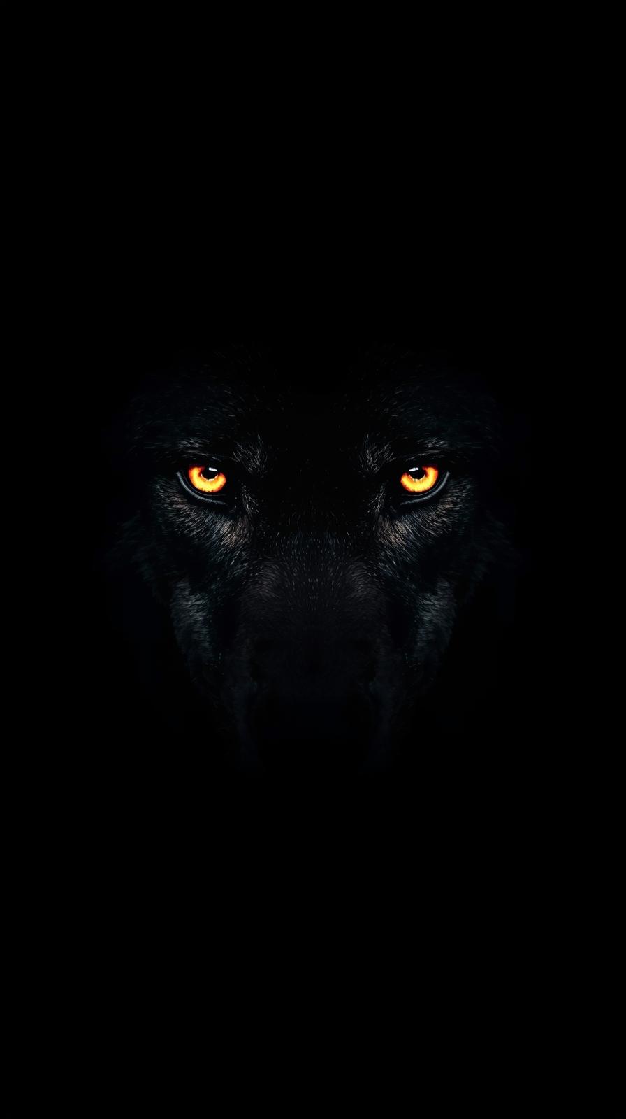 iphone wallpaper 4k Intense Glowing Orange Wolf Eyes Emerging from Deep Black Shadows iphone wallpaper 4k mobile wolf ey