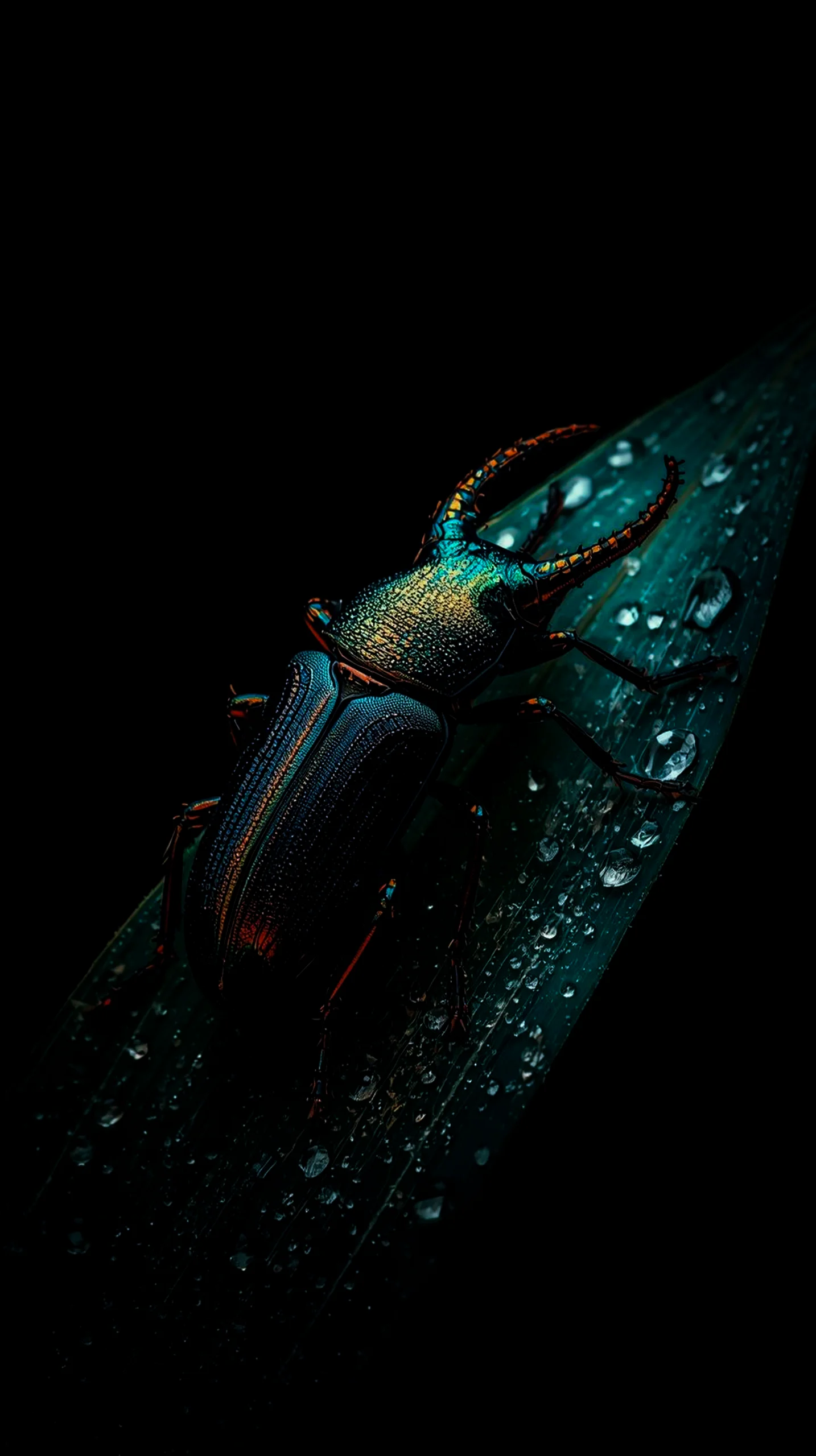 Iridescent beetle on a dewy leaf, AMOLED wallpaper 4K for mobile, iPhone wallpaper 4K, 4K wallpaper for mobile,