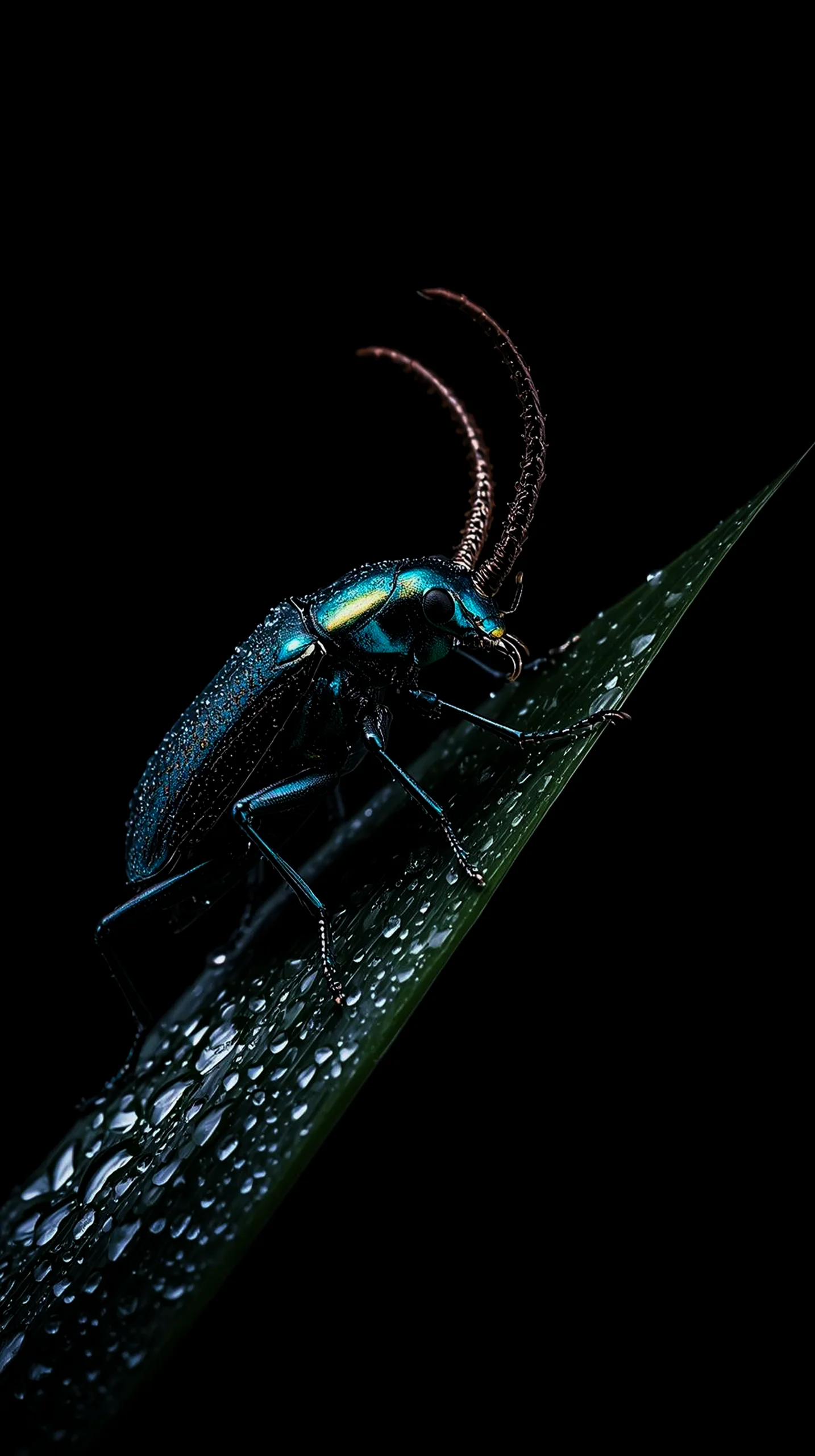 AMOLED wallpaper 4k for mobile iphone wallpaper 4k 4k wallpaper for mobile wallpaper for phone 4k backgrounds iphone 4k