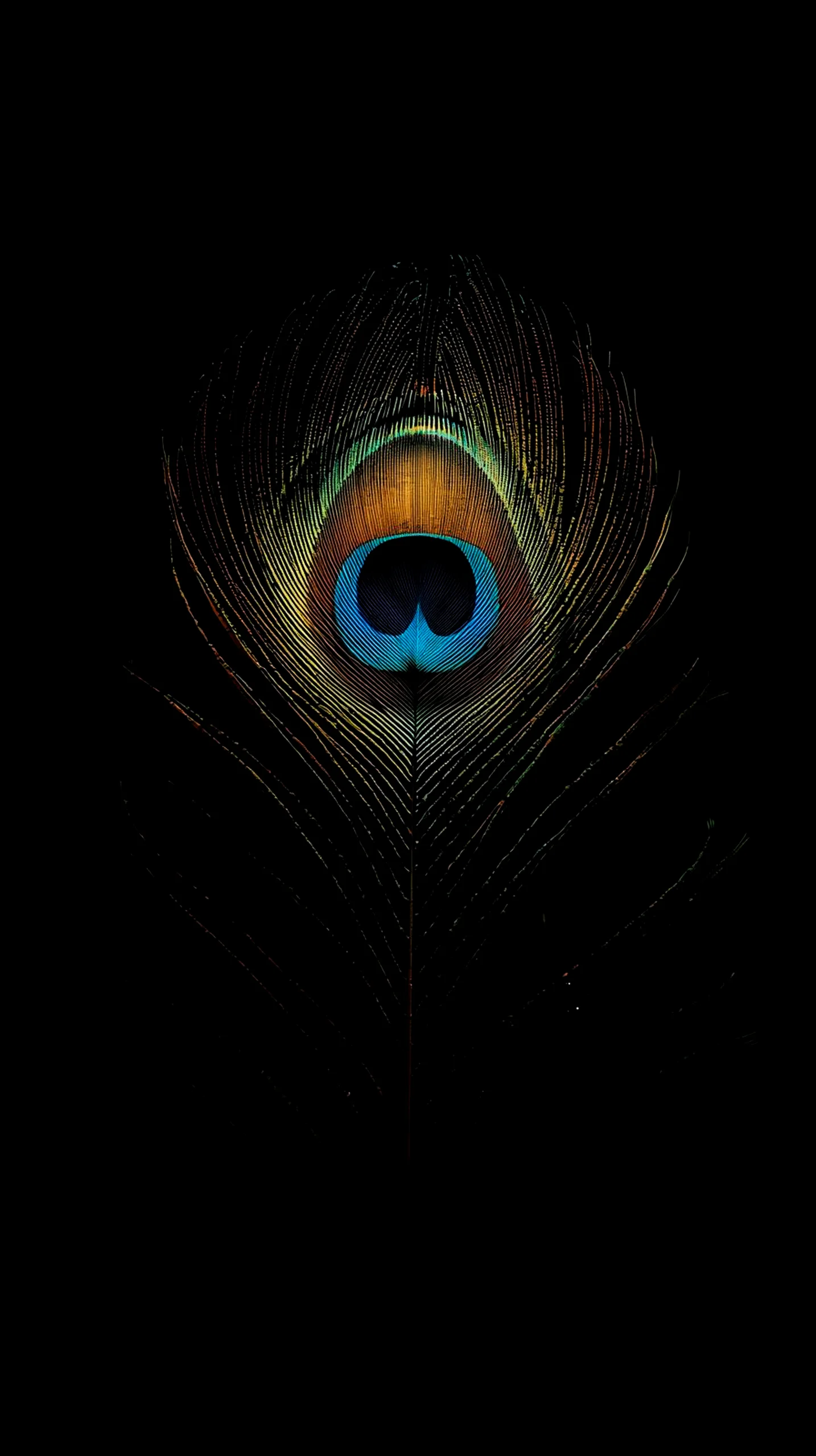 Peacock feather amoled wallpaper 4k for mobile, iphone wallpaper 4k, wallpaper for phone, cute 4k wallpaper for iphone