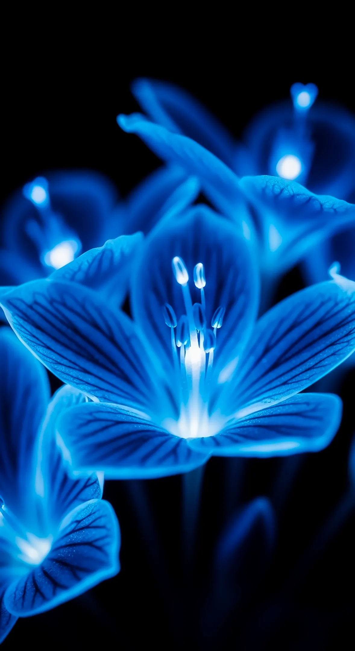 Glowing blue flower background for iPhone, flower phone background, and elegant flower phone wallpaper.