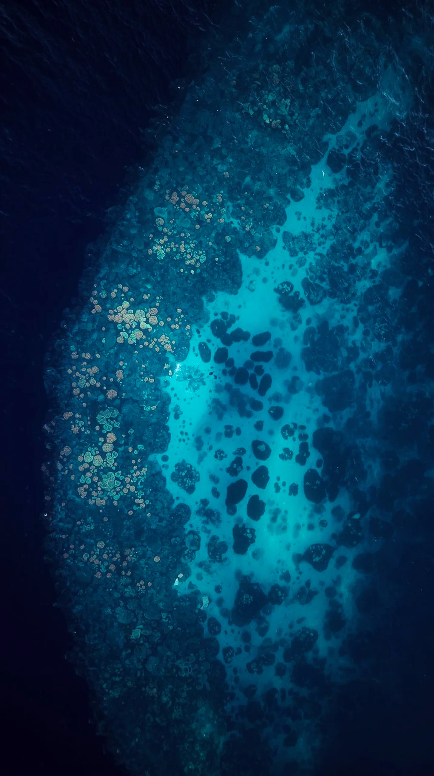 4K iPhone wallpaper of an aerial view of a coral reef in the deep blue ocean, perfect 4K backgrounds for mobile and