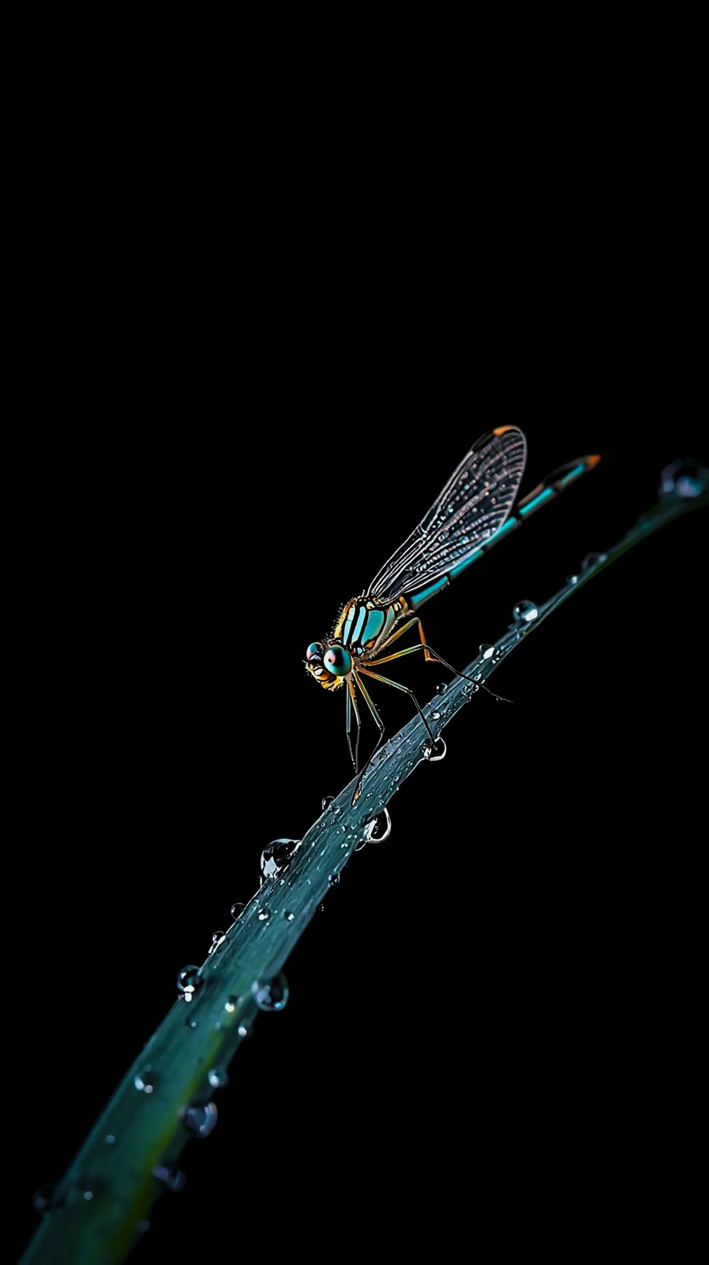 AMOLED wallpaper 4k for mobile, iPhone wallpaper 4k, 4k wallpaper for mobile, wallpaper for phone, cute 4k background.