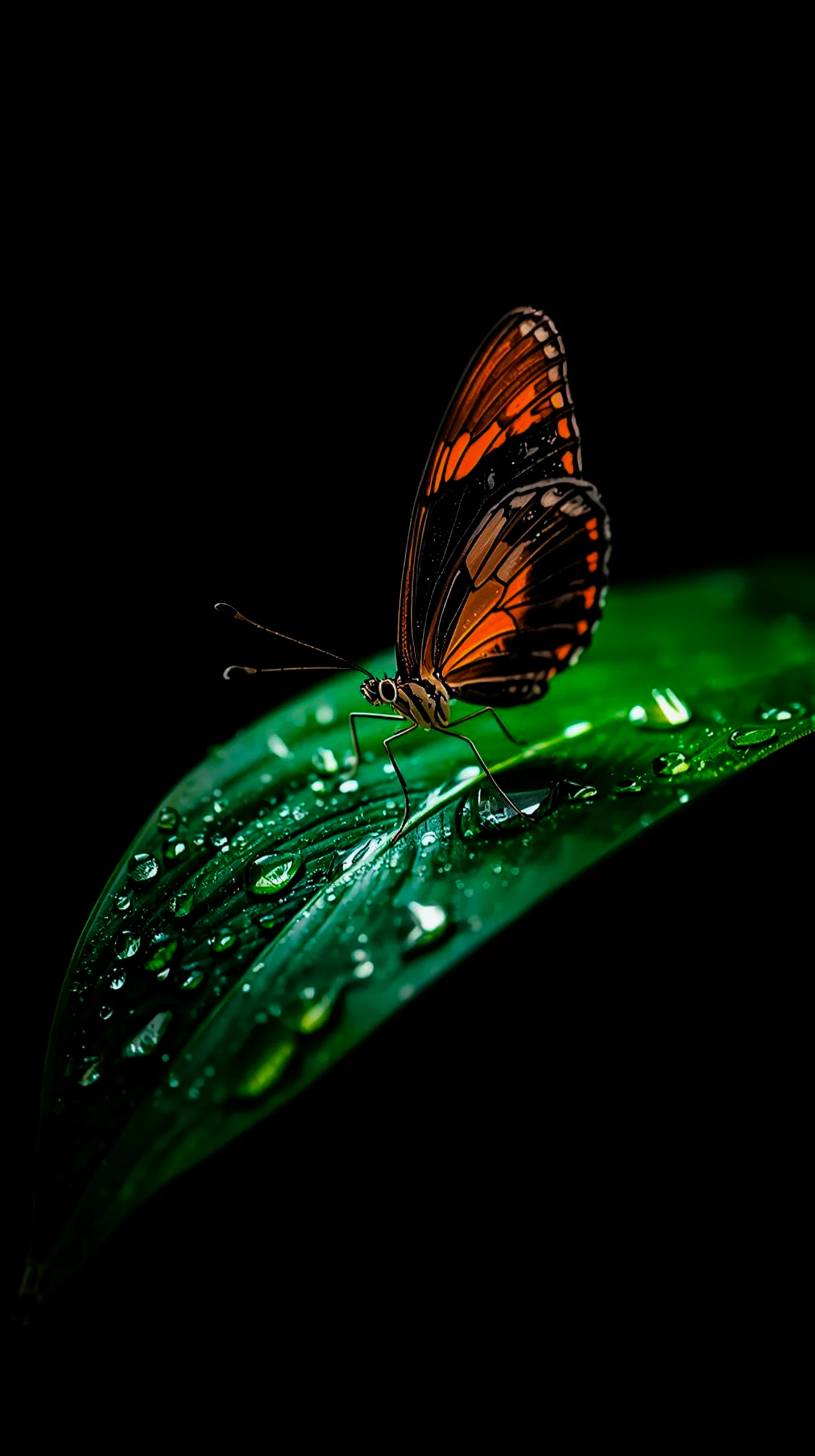 amoled wallpaper 4k for mobile iphone wallpaper 4k 4k wallpaper for mobile cute 4k wallpaper for iphone backgrounds