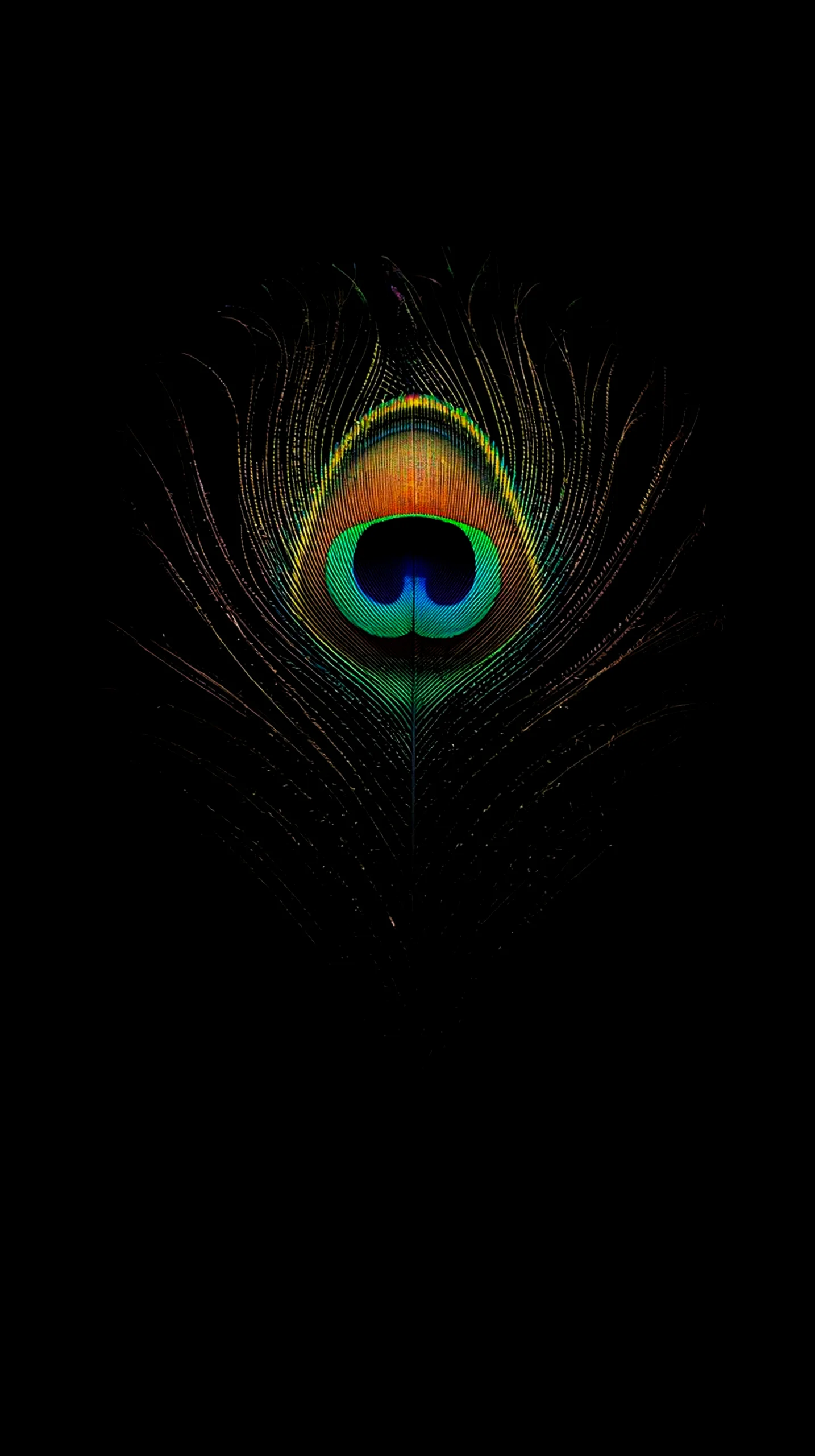 Peacock feather amoled wallpaper 4k for mobile, iphone wallpaper 4k, 4k wallpaper for phone and cute 4k backgrounds.