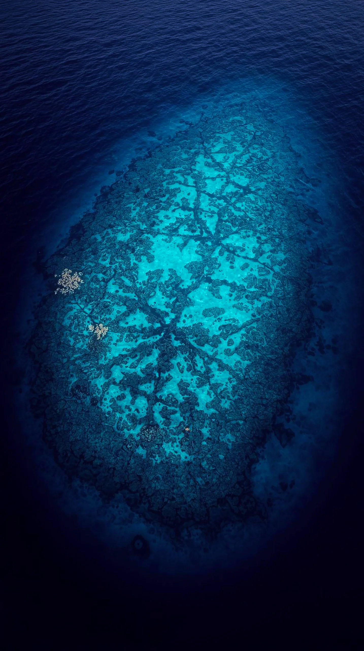 4K iPhone wallpaper of a vibrant coral reef from aerial view, deep blue ocean, 4K wallpaper for mobile, wallpaper for