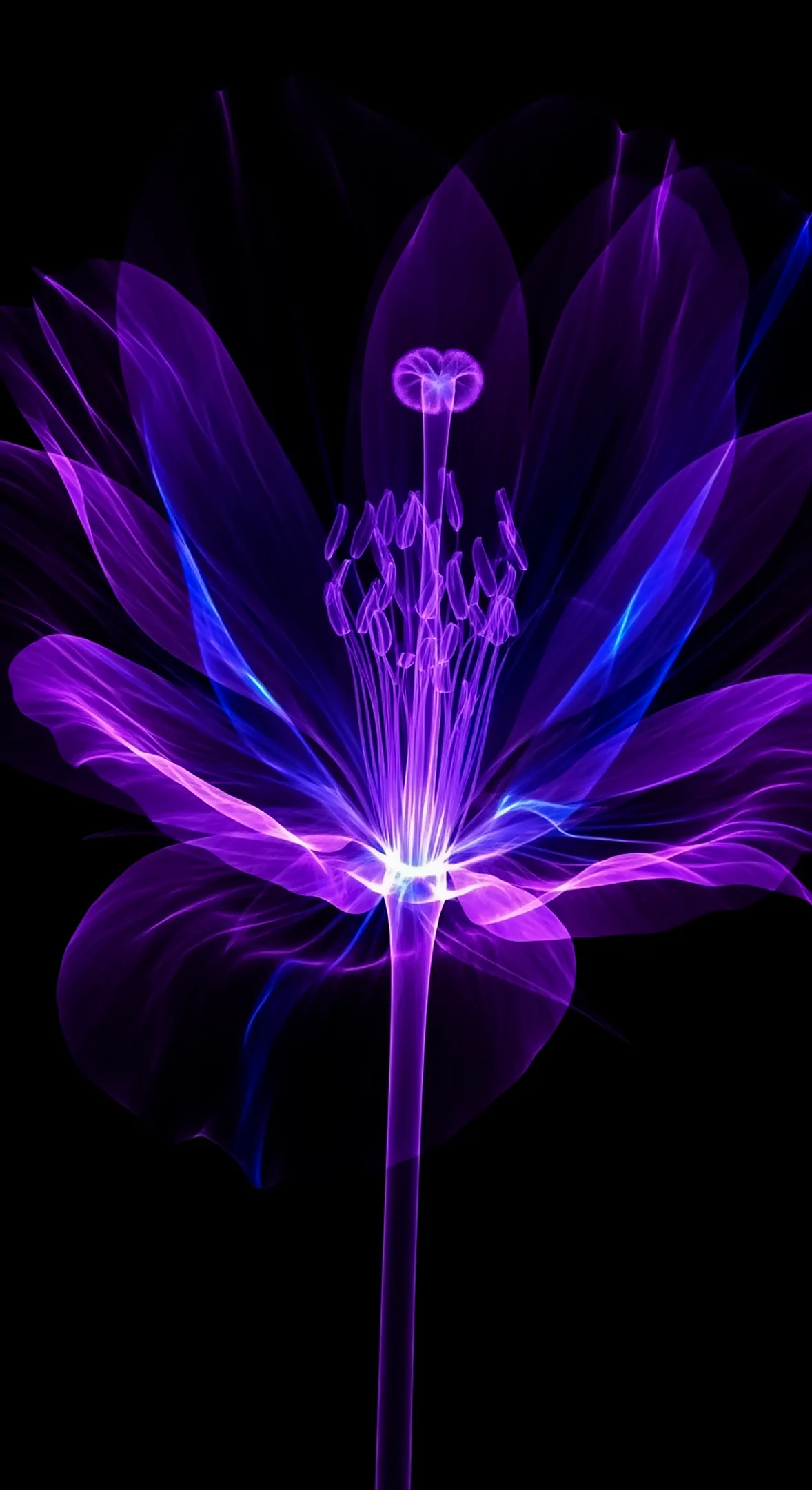 Glowing purple flower background for iphone, flower phone background, and flower phone wallpaper.