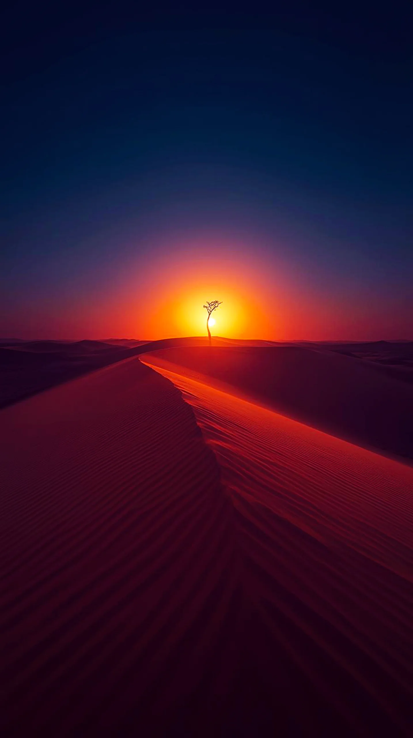Desert sunset iphone wallpaper 4k, 4k wallpaper for mobile, wallpaper for phone, cute 4k wallpaper for iphone, 4k
