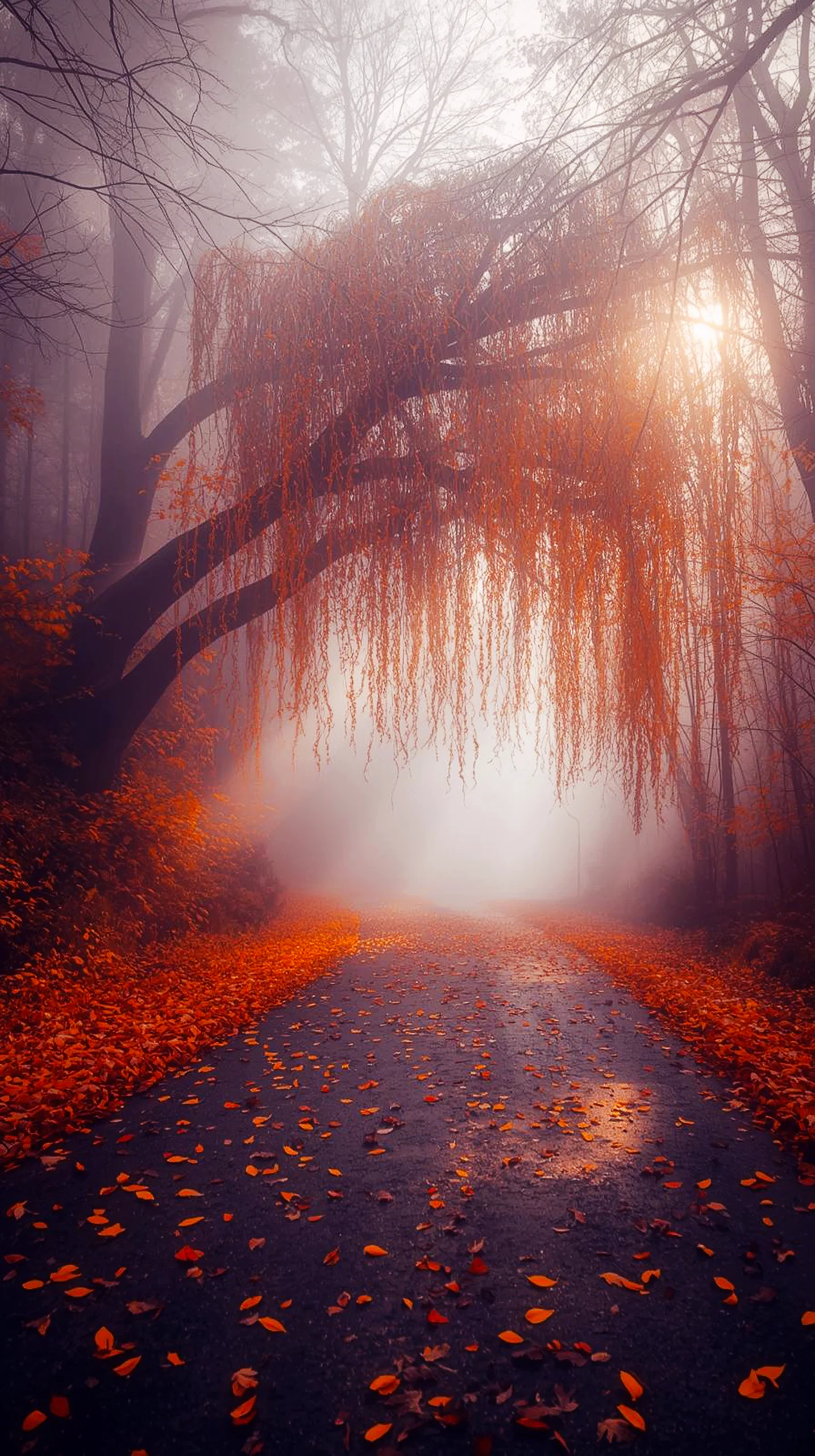 Autumn path covered in fallen leaves, with a weeping willow tree and fog. Cute 4K wallpaper for iPhone and mobile.