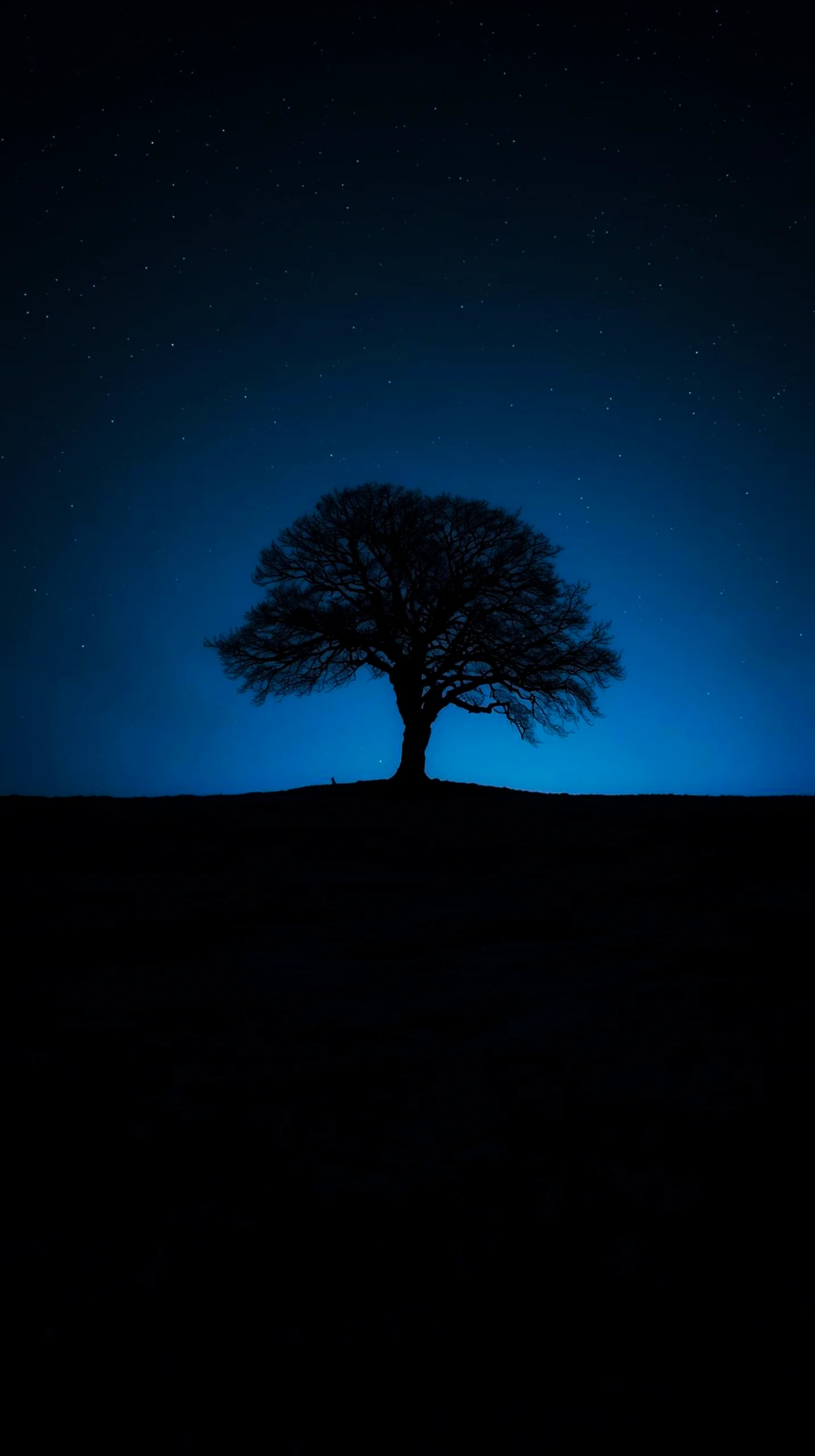 Silhouette tree under a starry night sky, ideal as an AMOLED wallpaper 4K for mobile, iPhone wallpaper 4K, 4K wallpaper