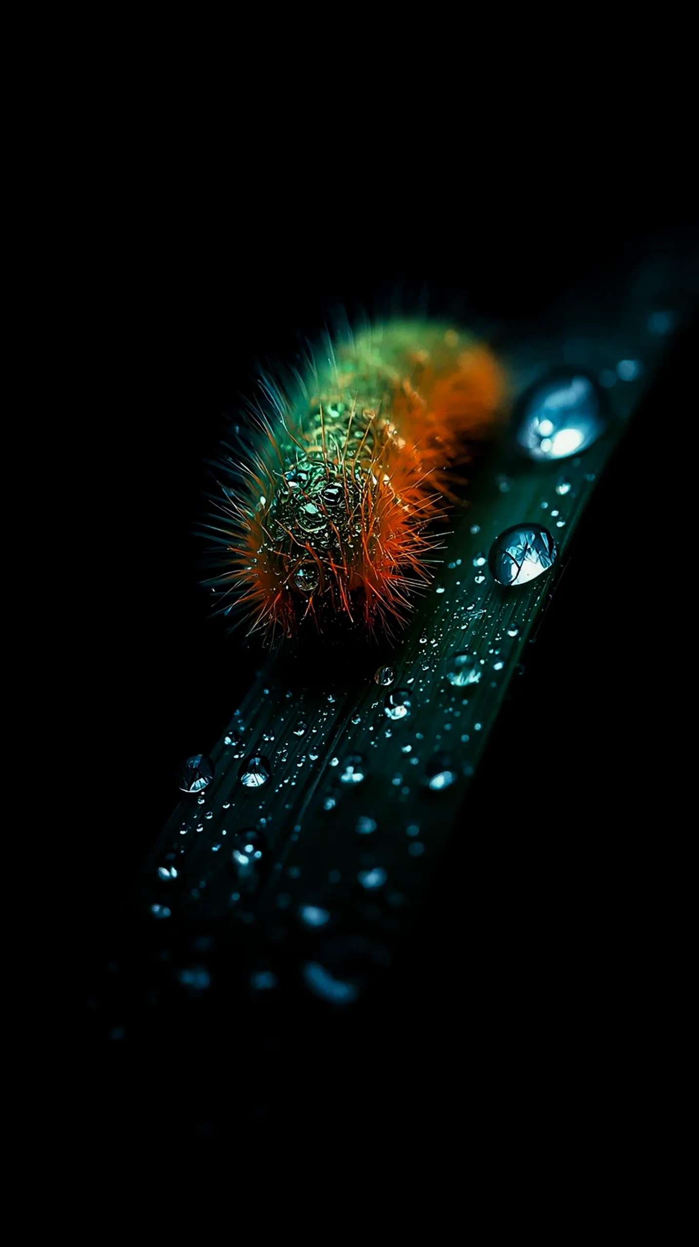 AMOLED wallpaper 4k for mobile, iphone wallpaper 4k, 4k wallpaper for mobile, cute 4k wallpaper for iphone background