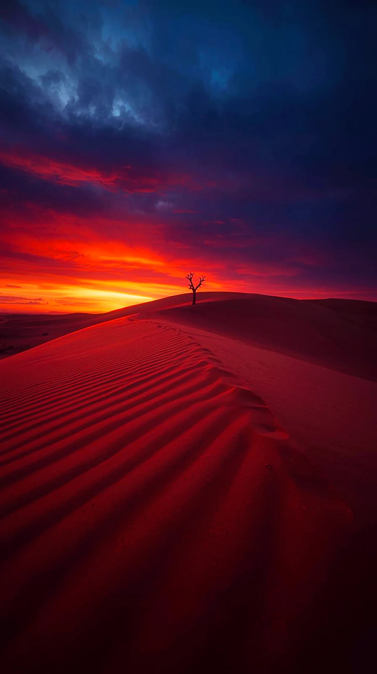 Desert sunset iphone wallpaper 4k, 4k wallpaper for mobile, wallpaper for phone, 4k backgrounds, iphone 4k background.