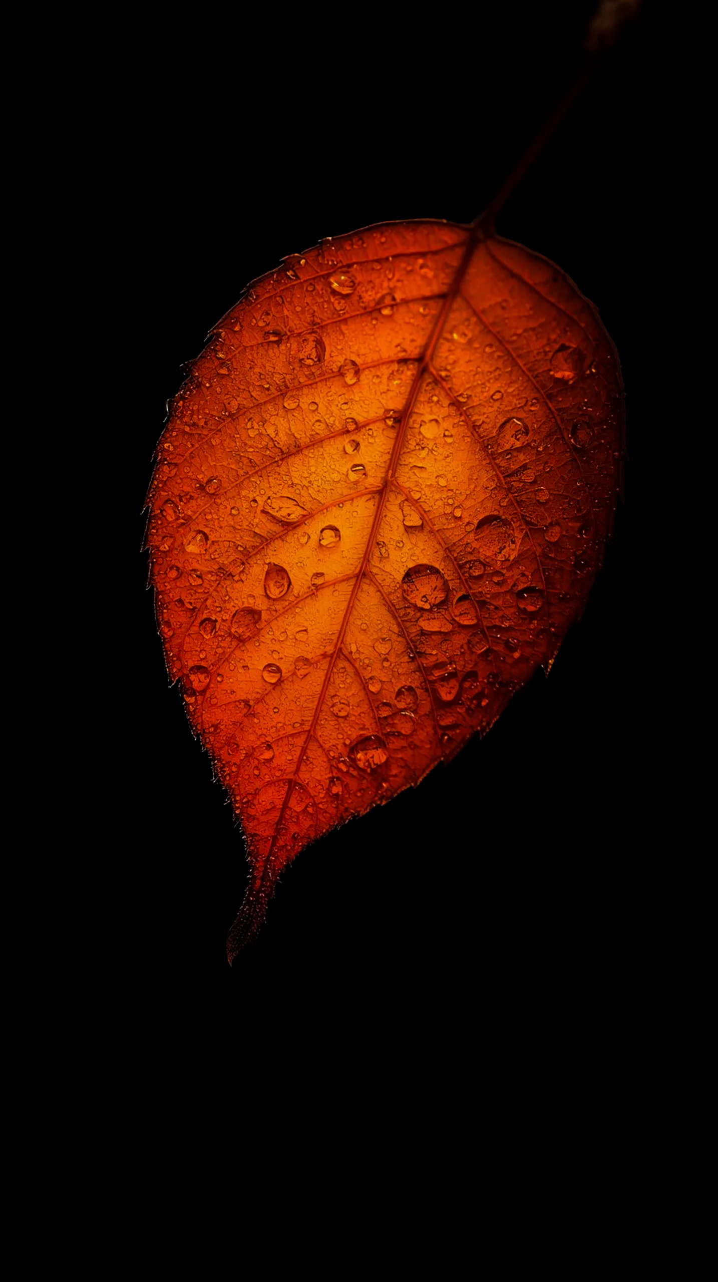 AMOLED wallpaper 4k for mobile, iPhone wallpaper 4k, 4k wallpaper for mobile, wallpaper for phone, cute 4k backgrounds.