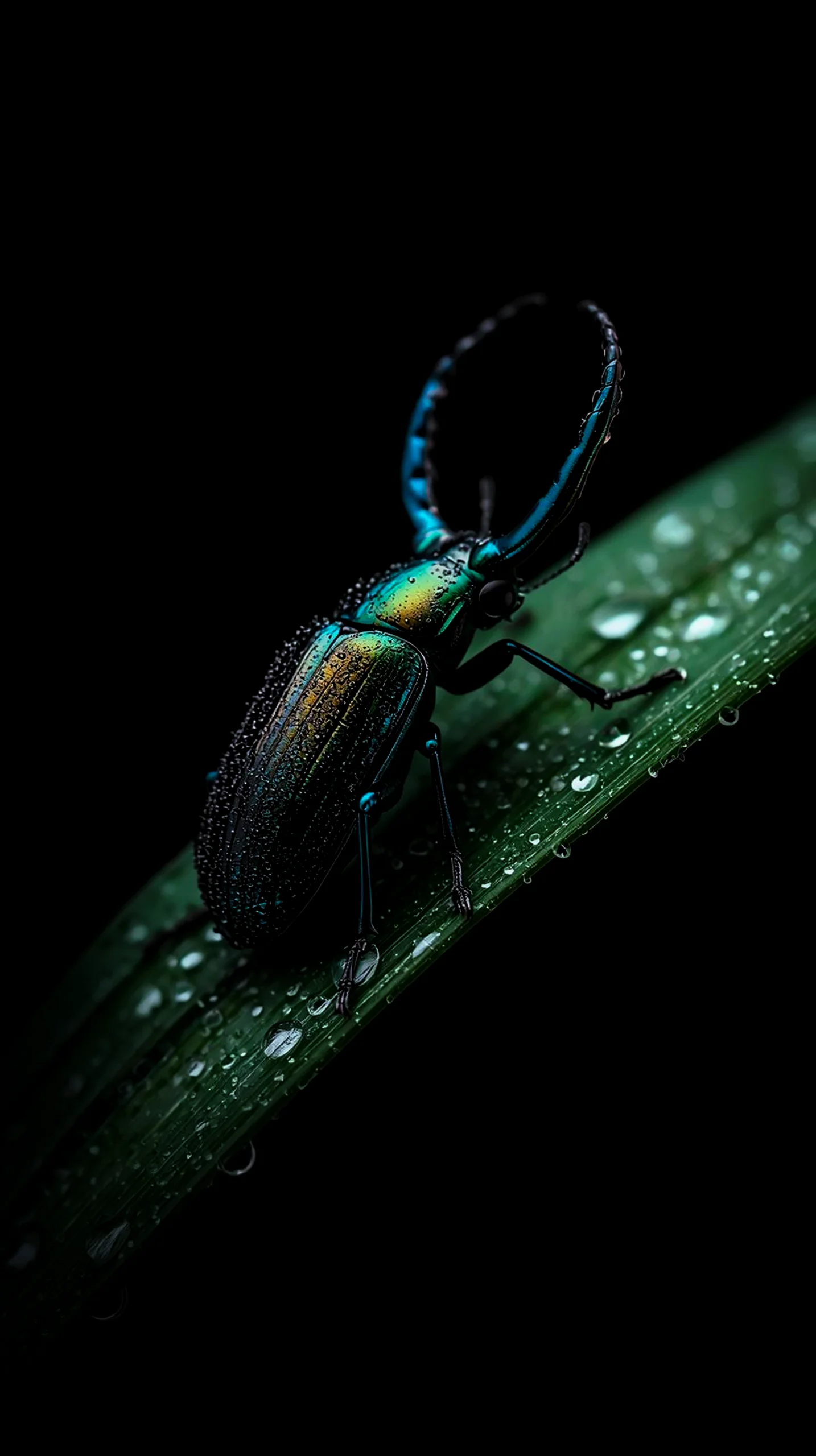 amoled wallpaper 4k for mobile, iphone wallpaper 4k, 4k wallpaper for phone, cute 4k backgrounds, dark iphone background