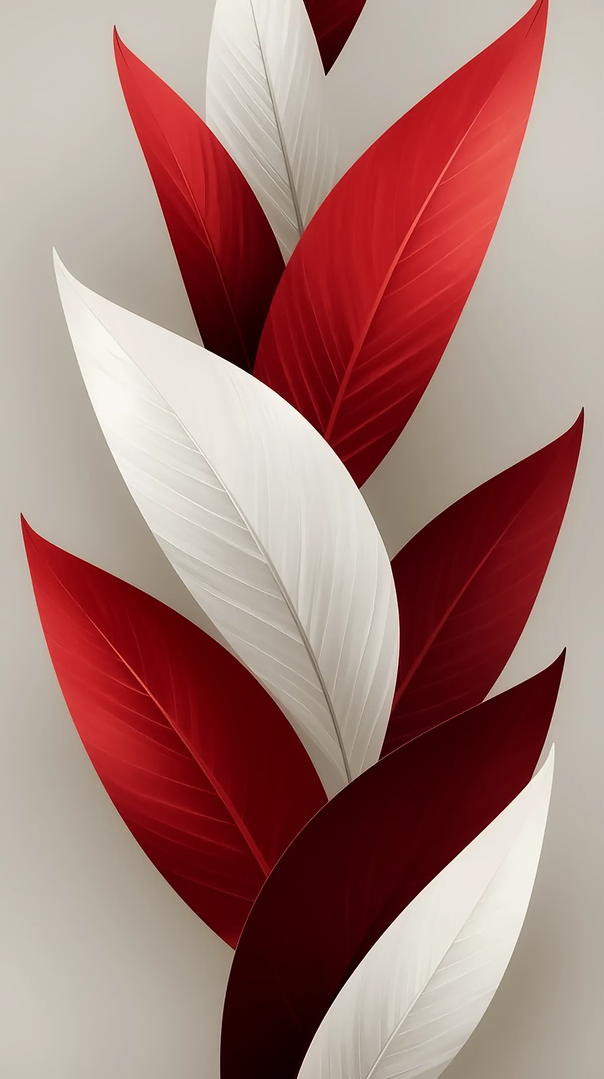 Red and white flower background for iPhone. A striking flower phone background and flower phone wallpaper.