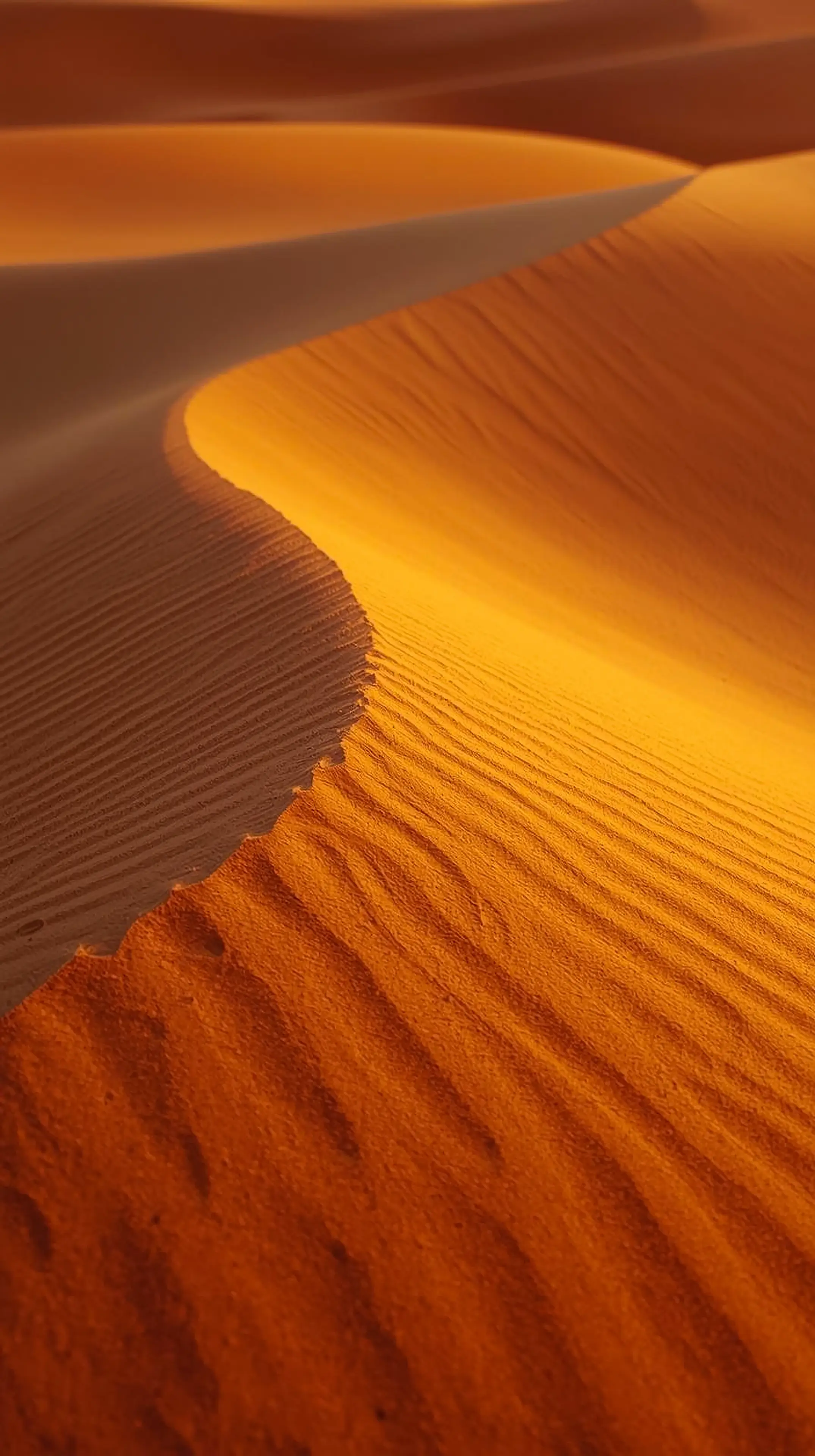 4k wallpaper for mobile Golden Desert Dunes at Sunset, Warm Orange Sand Waves with Dramatic Ripples & Soft Light Shadows
