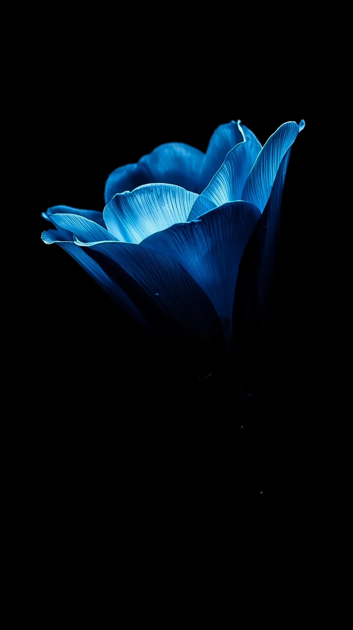 Blue amoled wallpaper 4k for mobile, iphone wallpaper 4k, 4k wallpaper for mobile, cute 4k wallpaper for iphone.