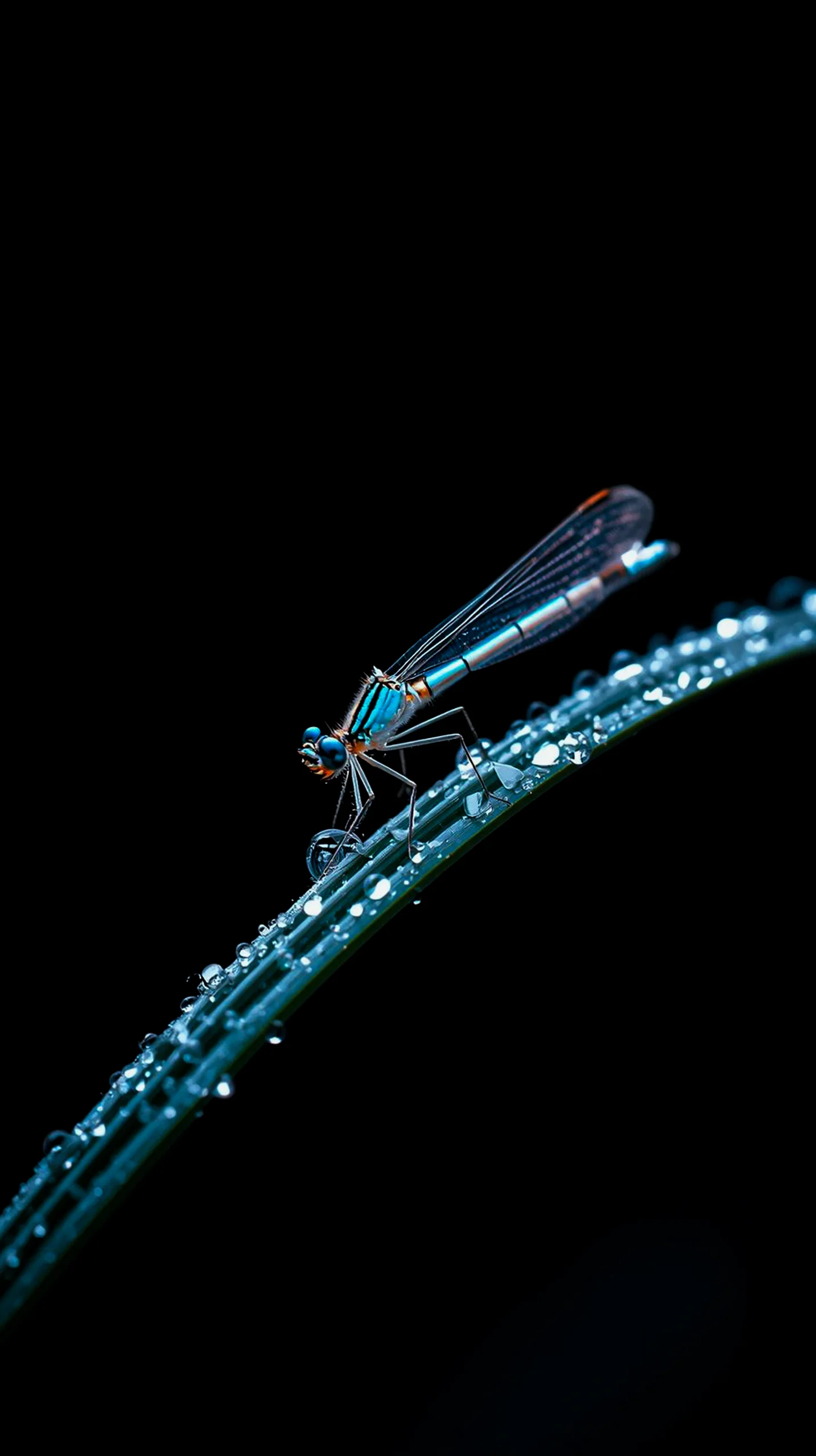 amoled wallpaper 4k for mobile iphone wallpaper 4k 4k wallpaper for mobile wallpaper for phone 4k iphone background