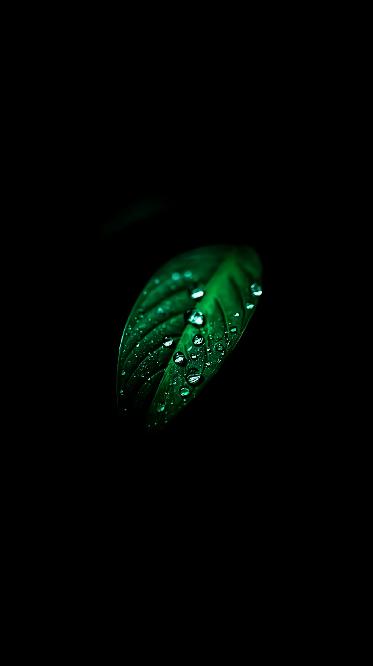 amoled wallpaper 4k for mobile iphone wallpaper 4k 4k wallpaper for mobile cute 4k wallpaper for iphone 4k backgrounds