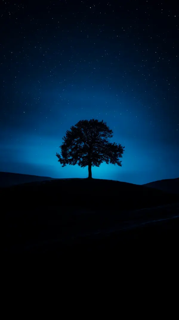 Stunning AMOLED Wallpaper 4K for Mobile: Silhouette Tree Under Starry Night Sky