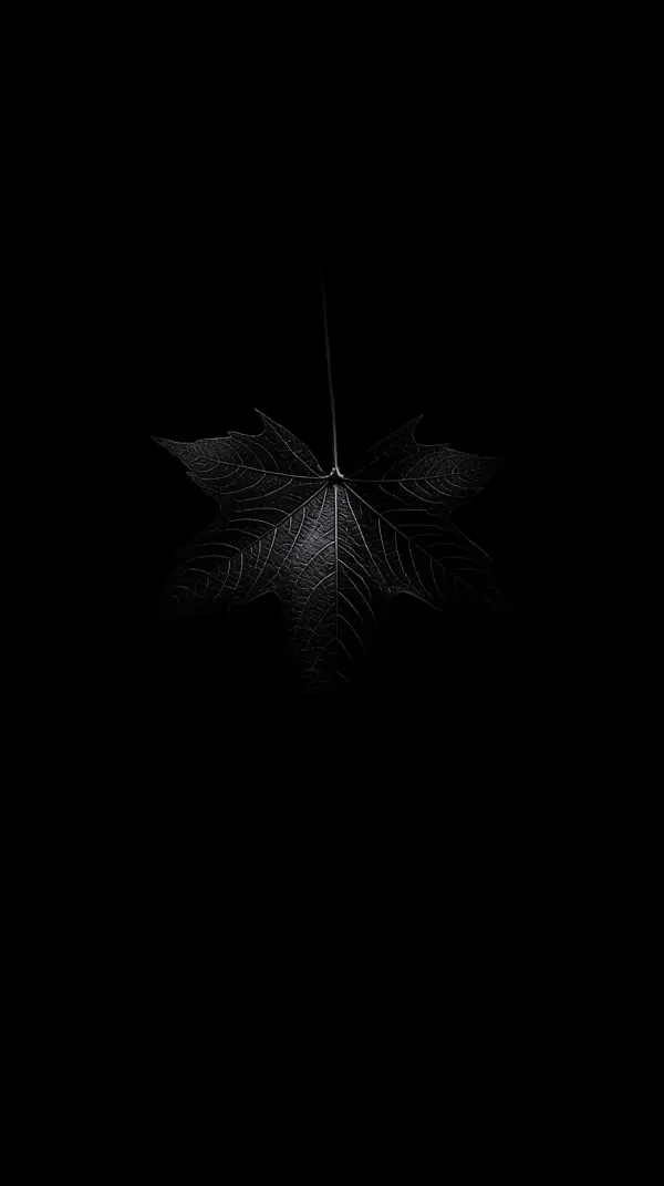 Dark Leaf AMOLED Wallpaper 4K for Mobile | Minimalist Nature Aesthetic