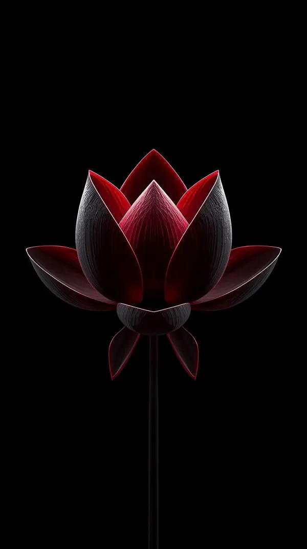 4k wallpaper for mobile Dark Red Lotus Flower 3D Render on Black Background, Elegant Dramatic Bloom in Deep Crimson and