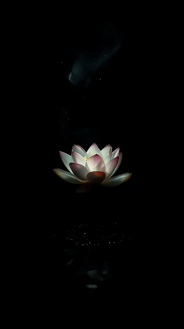 Stunning Lotus Flower AMOLED Wallpaper 4K for Mobile: Dark & Aesthetic Backgrounds