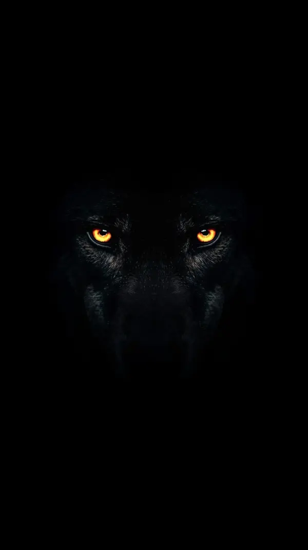 iphone wallpaper 4k Intense Glowing Orange Wolf Eyes Emerging from Deep Black Shadows iphone wallpaper 4k mobile wolf ey