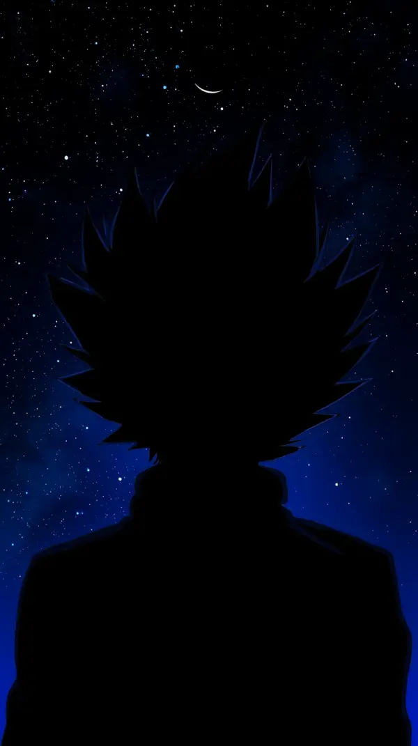 Anime 4k images — black silhouette starry sky